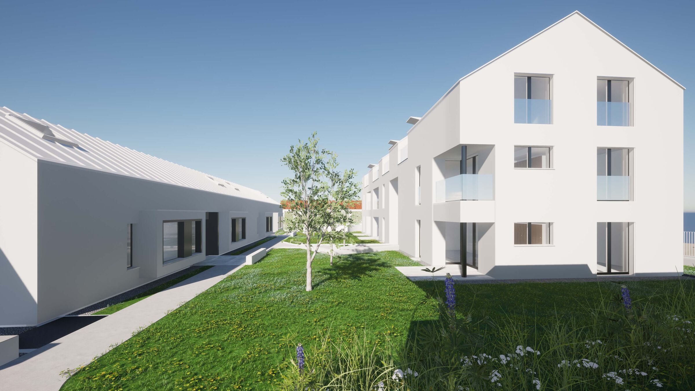 External view: the green area