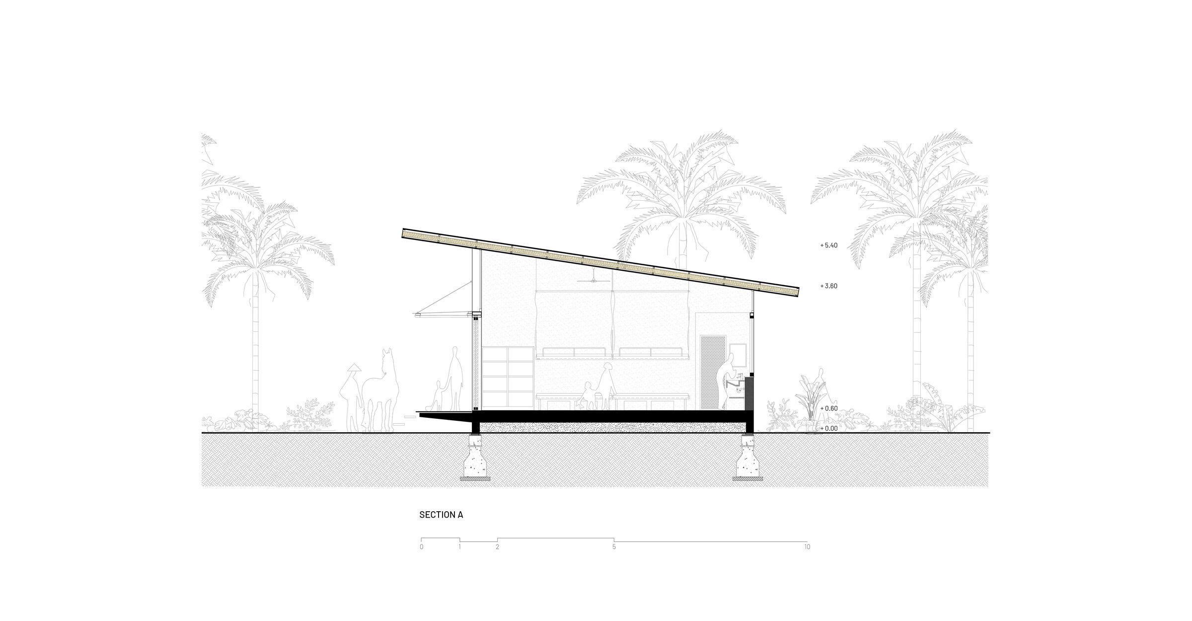 T3 Architects - Transversal Section