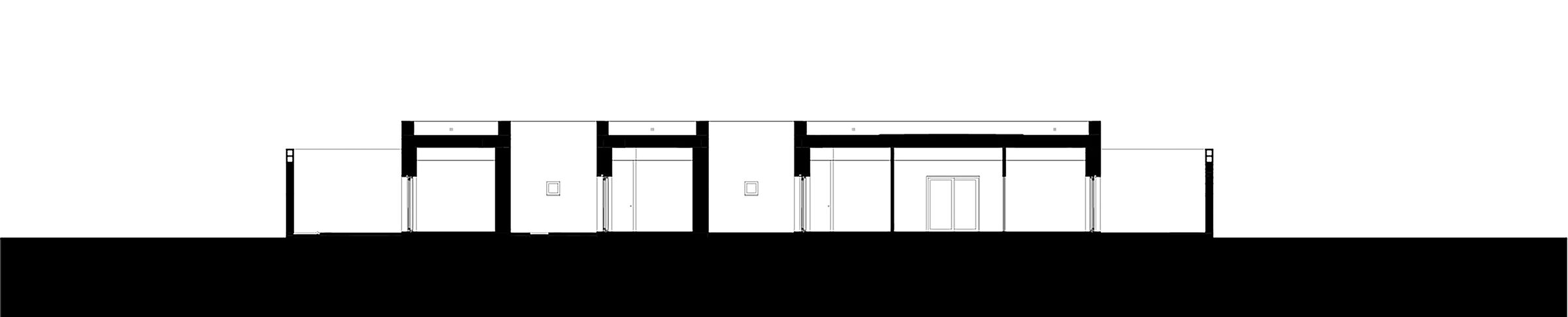 Longitudinal Section
