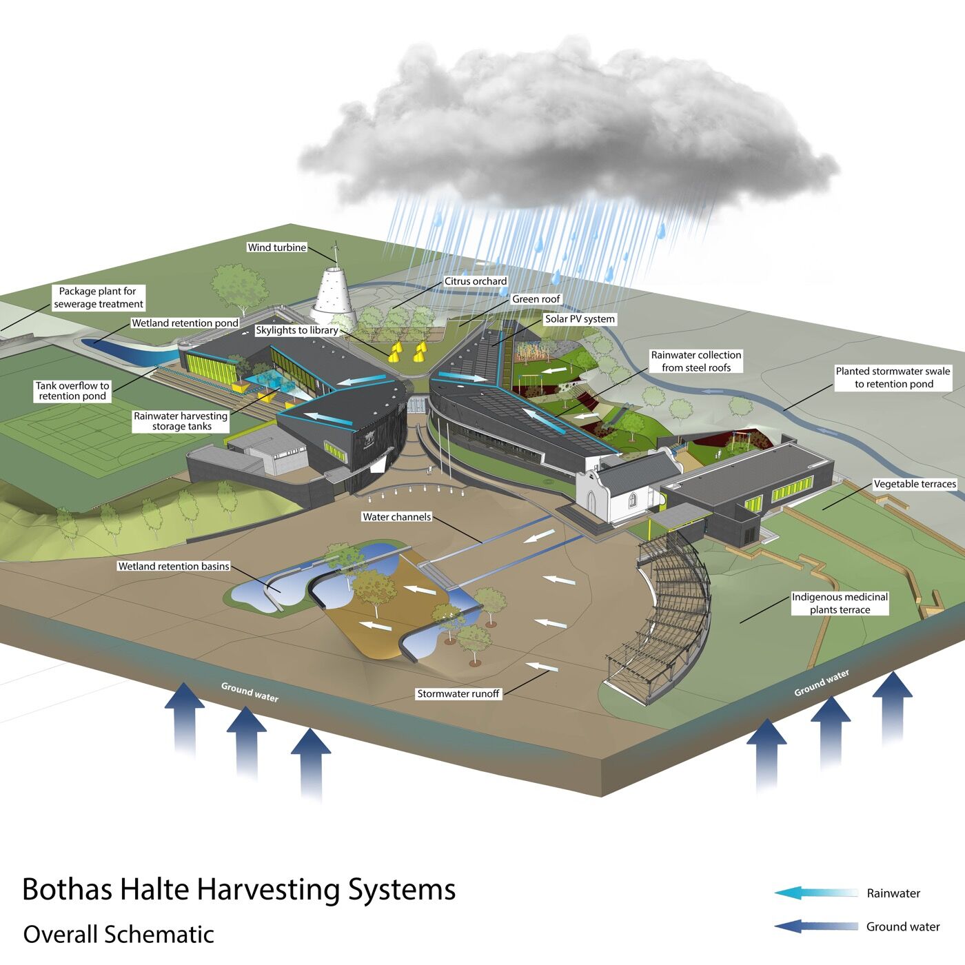 Ecological Approach