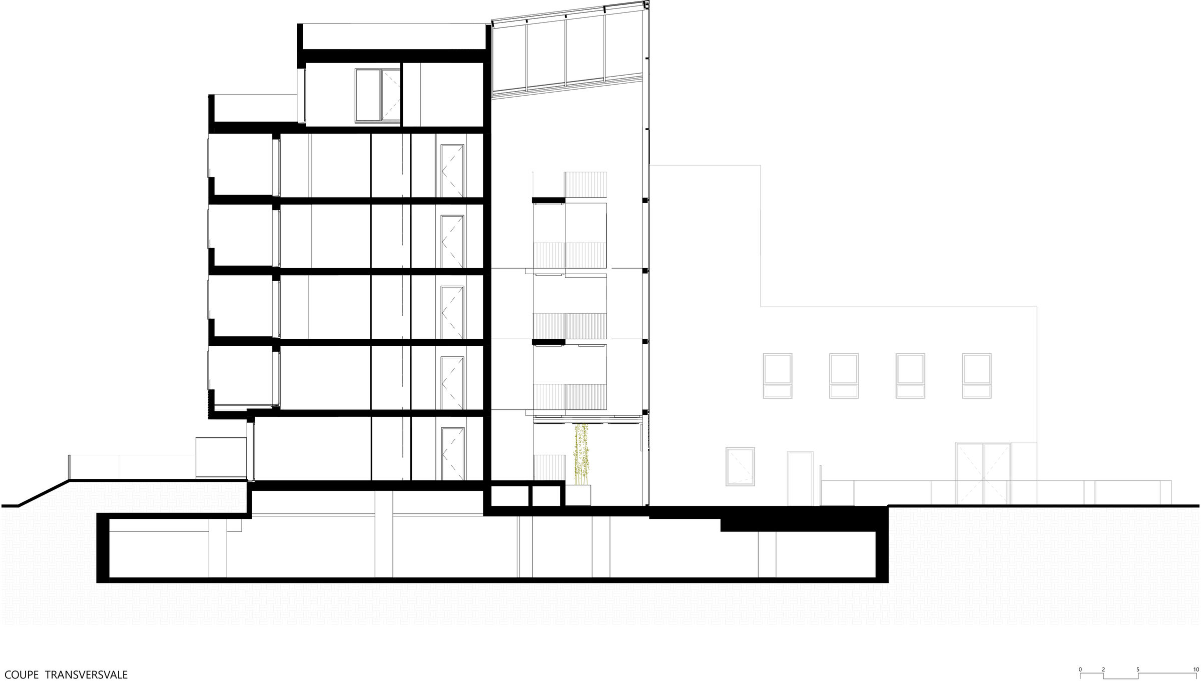 Transversal Cut