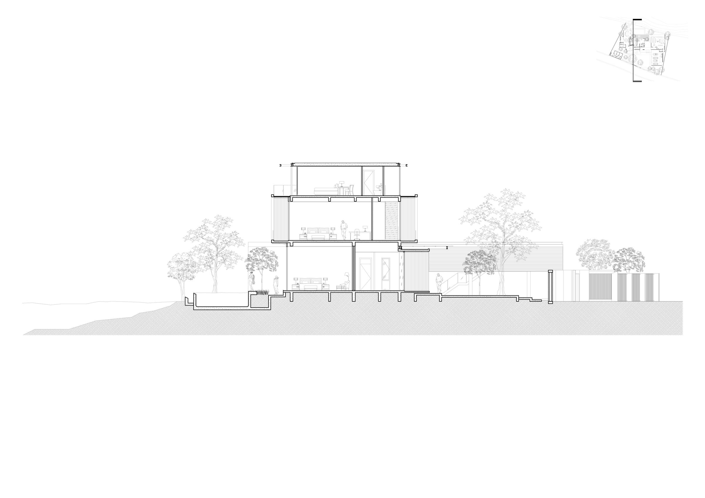 section