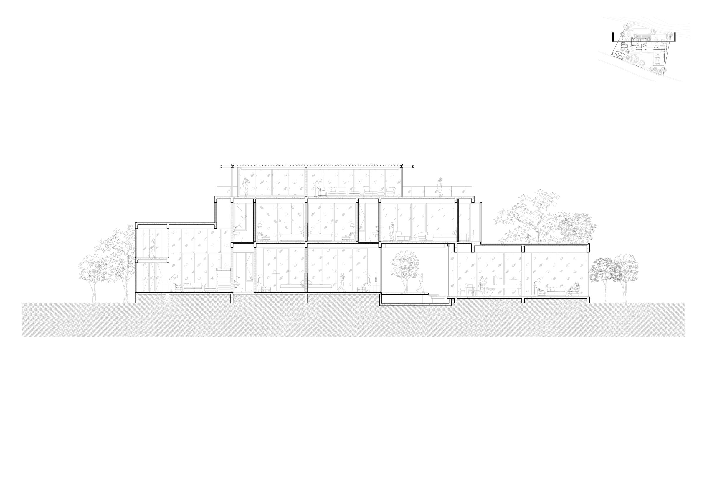 section