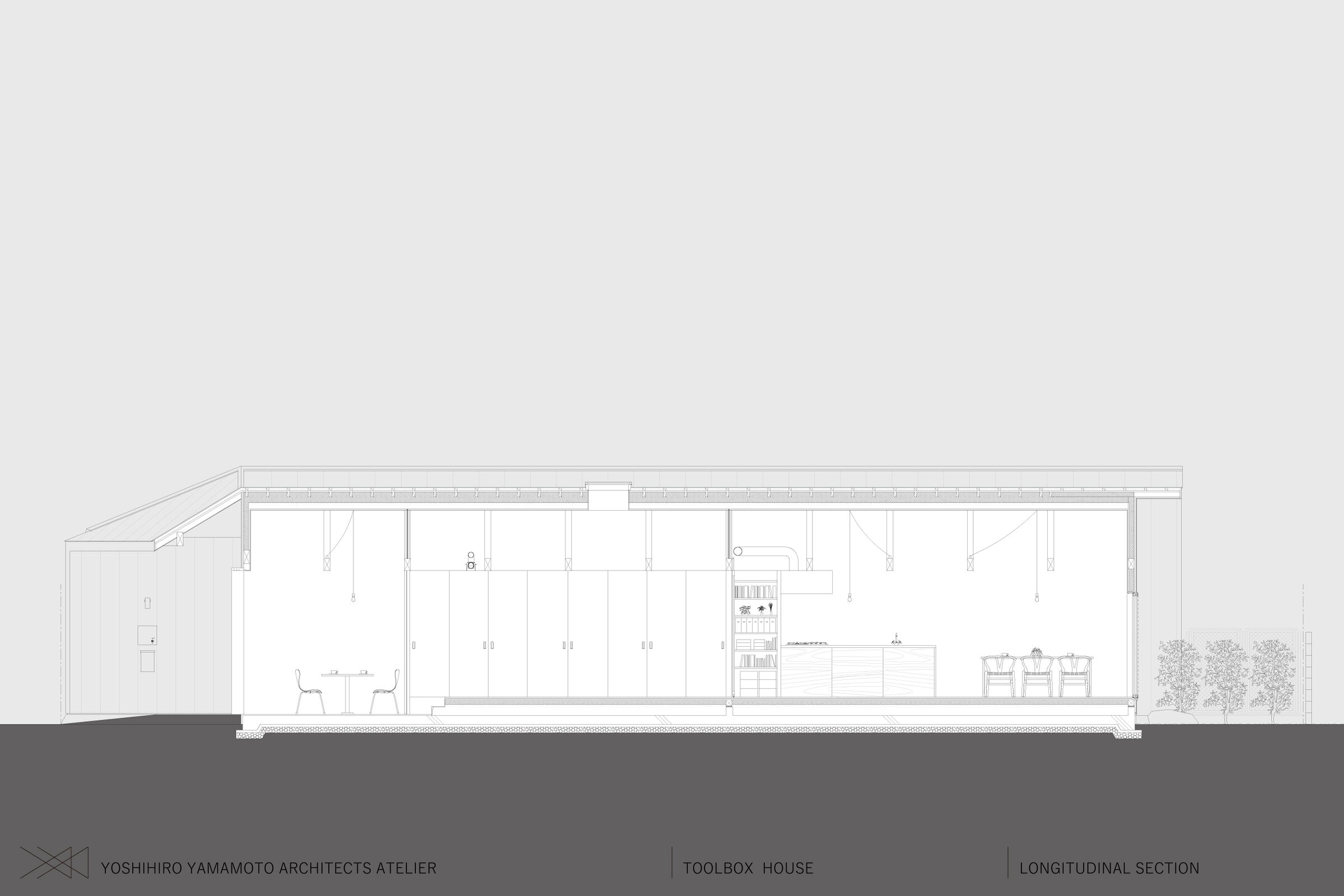 Longitudinal Section