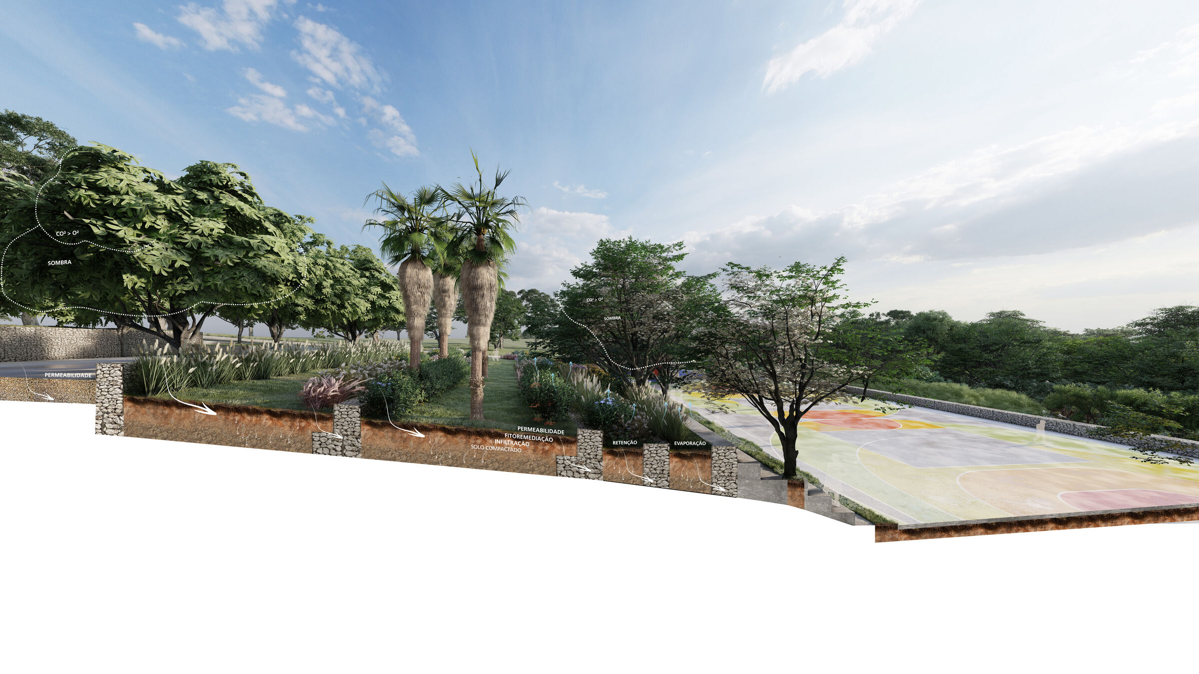 Functioning of rain gardens