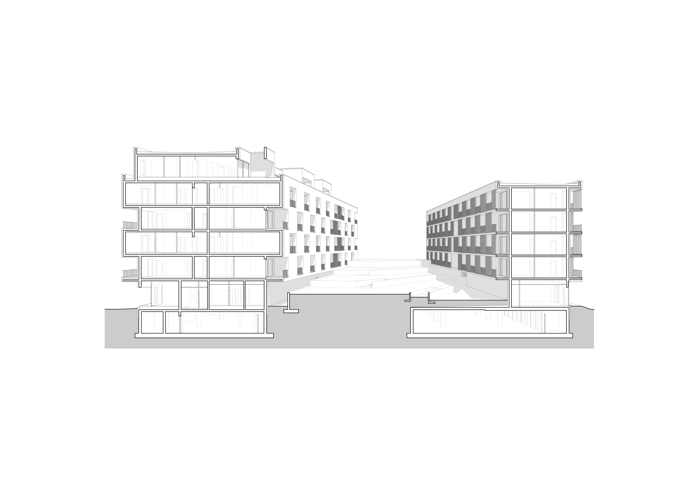 3D Section