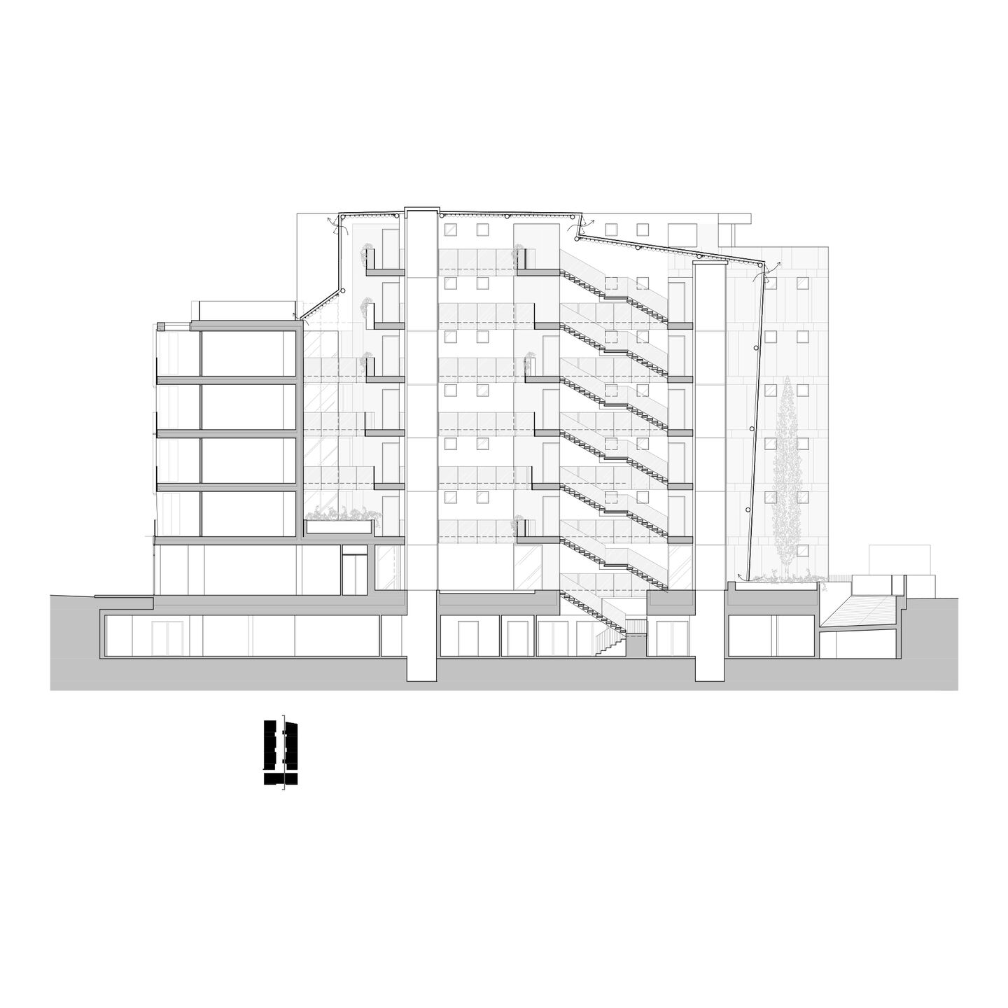 section
