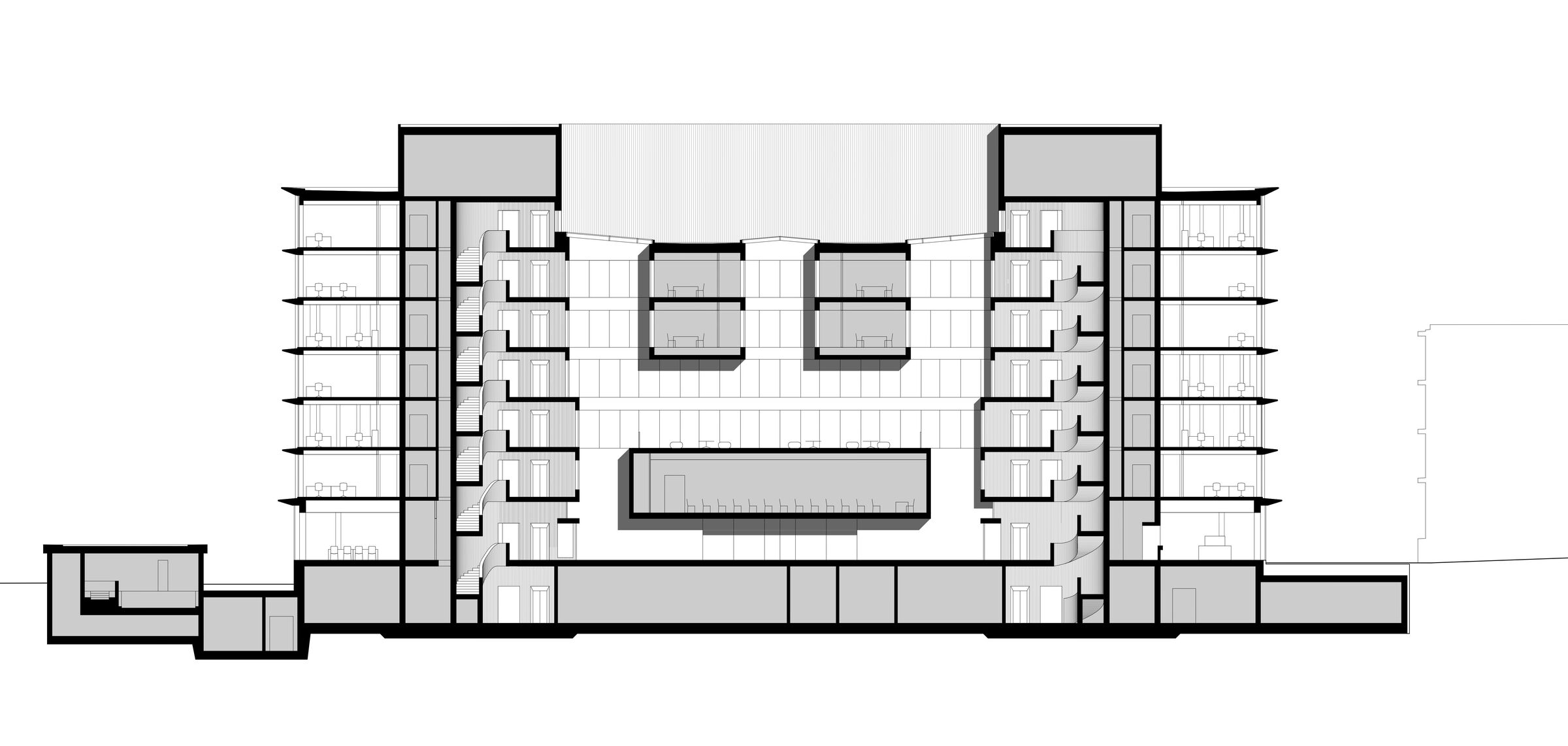 Longitudinal section