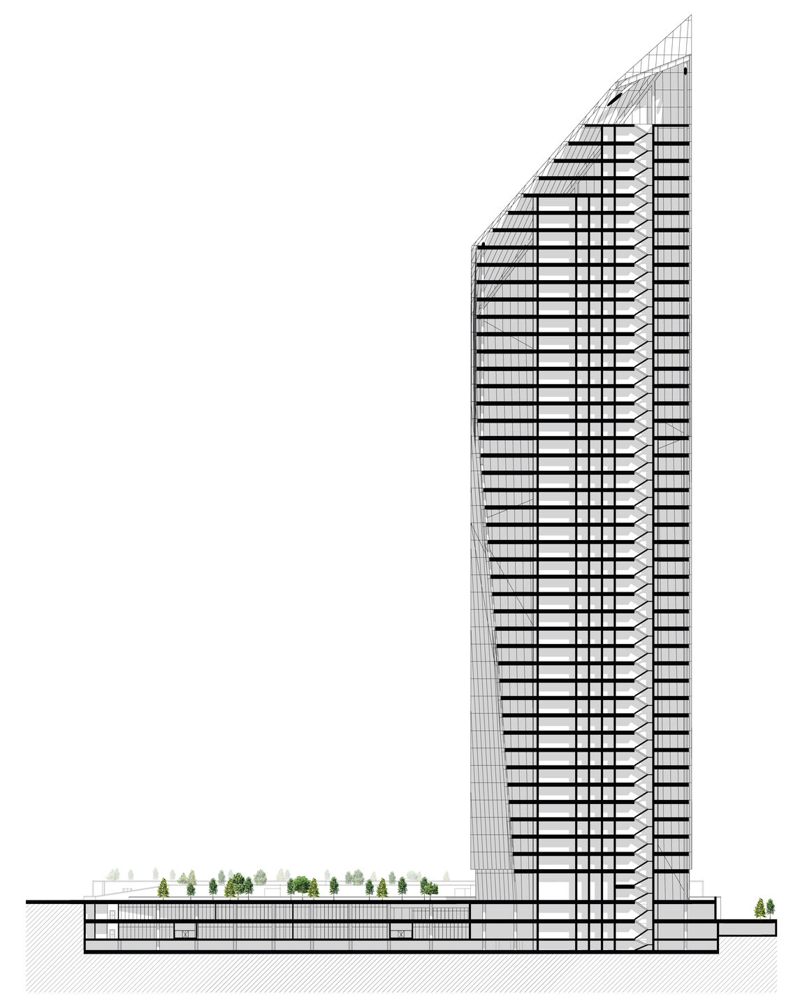 section