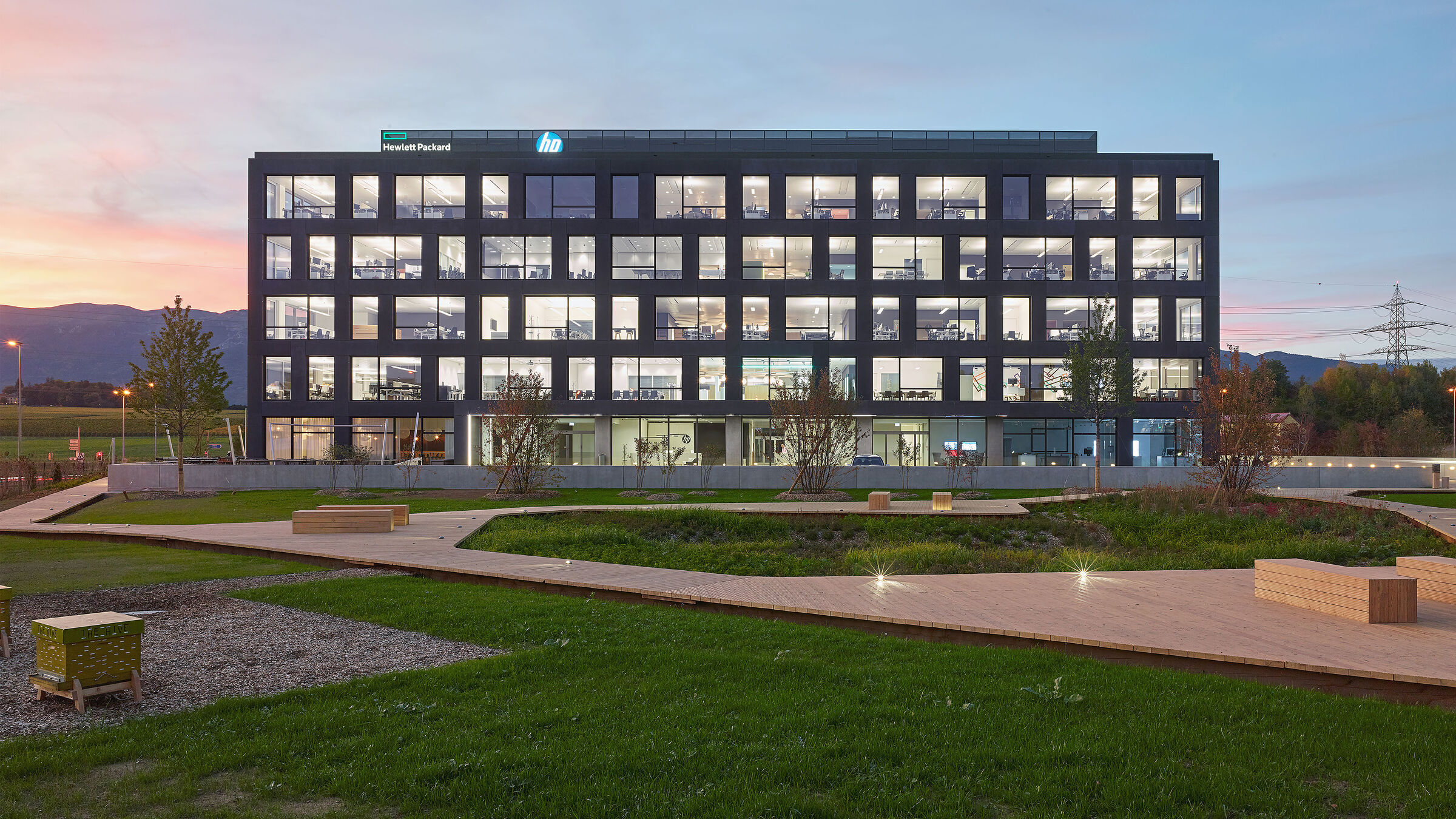 Hive office