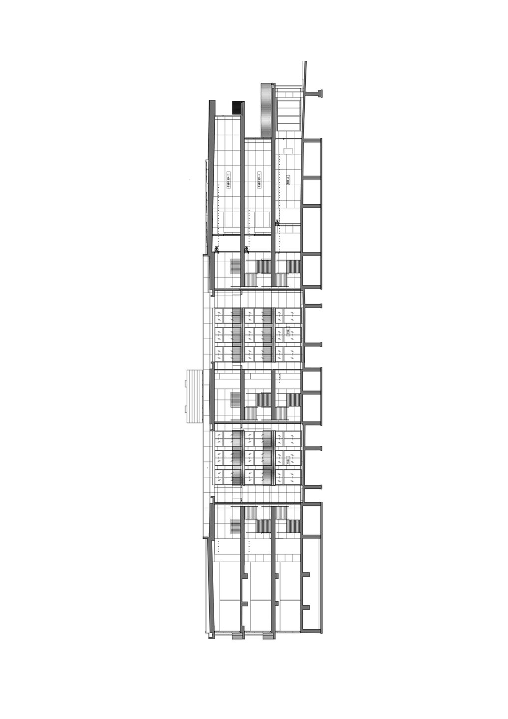 North-south section