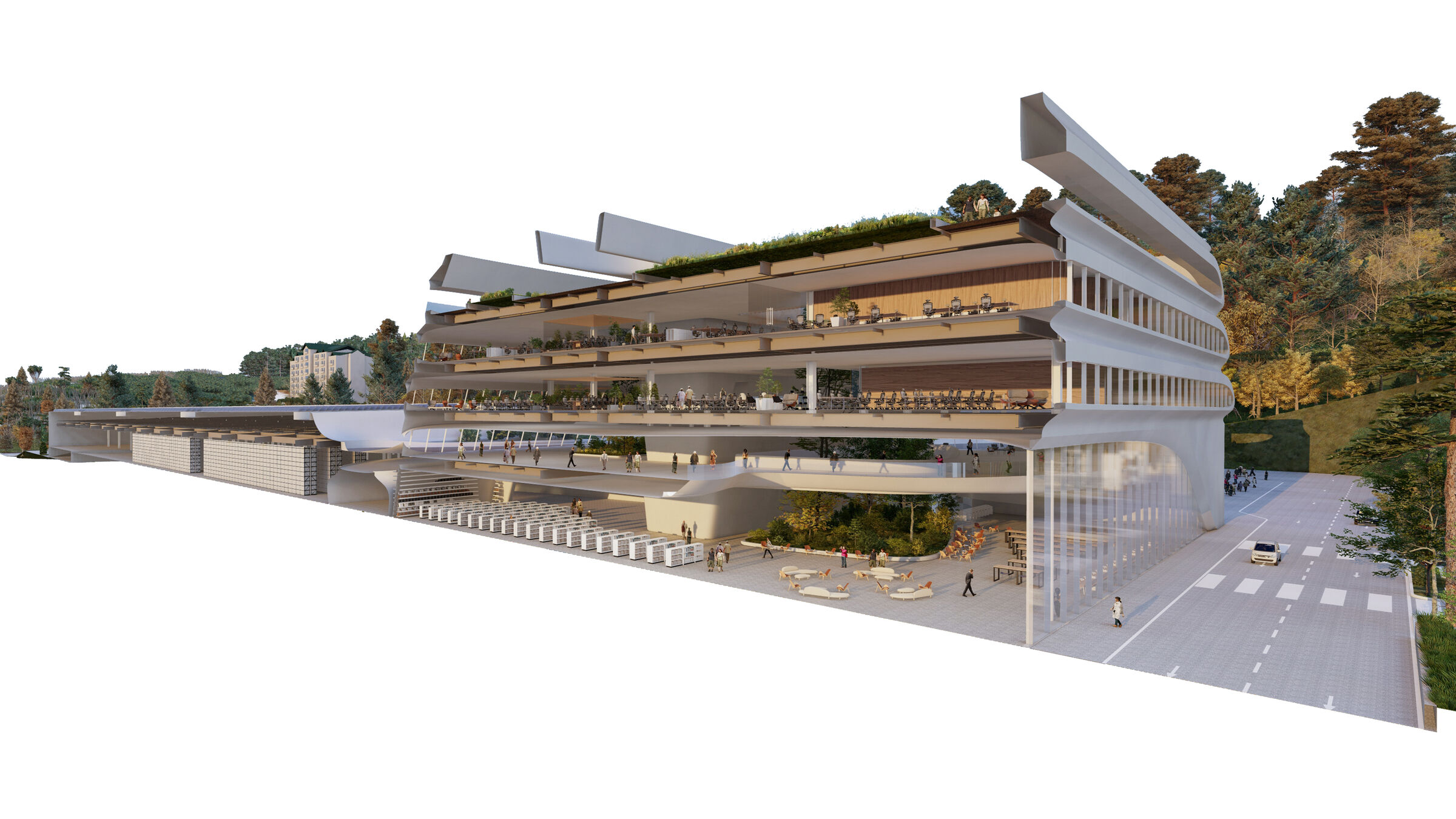 Perspective Section