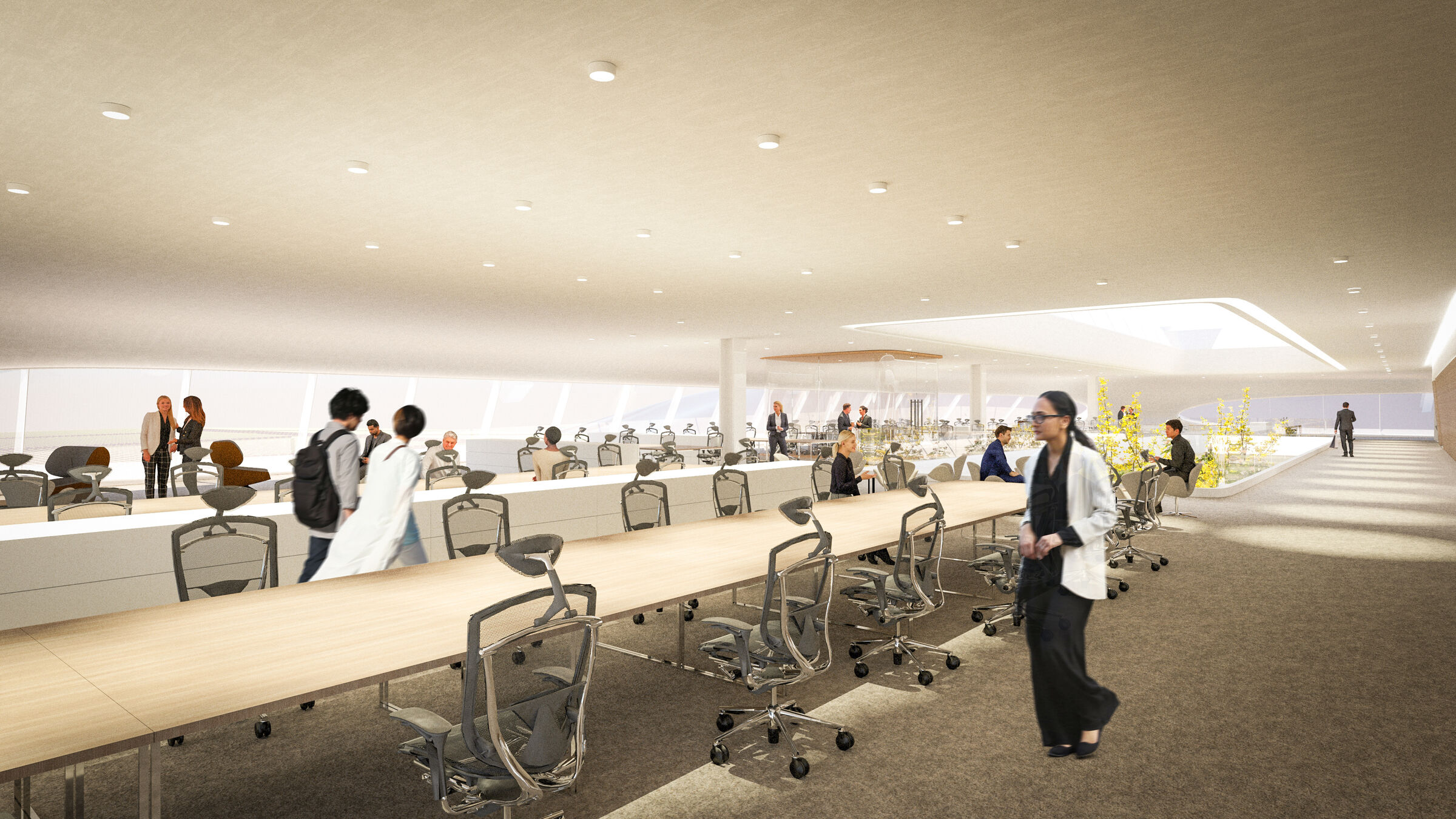 Office Area