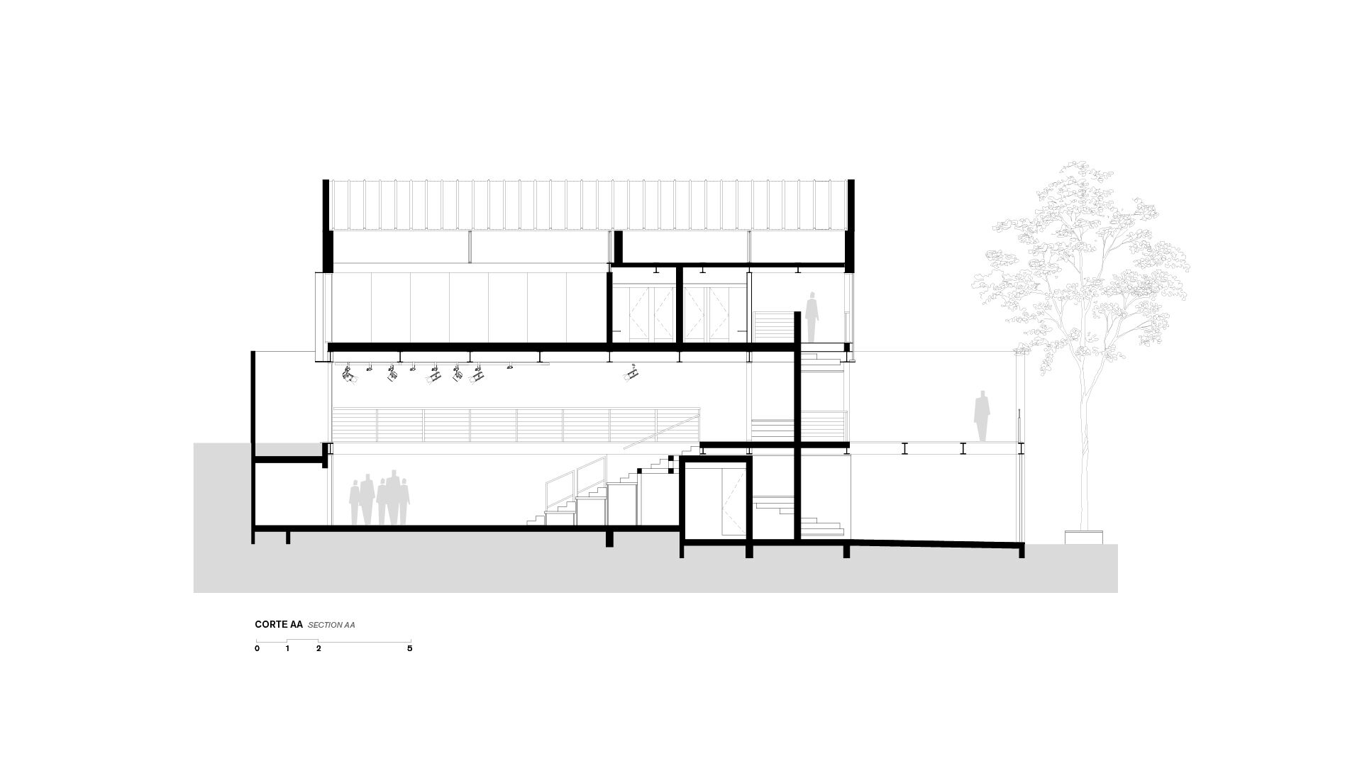AA Section