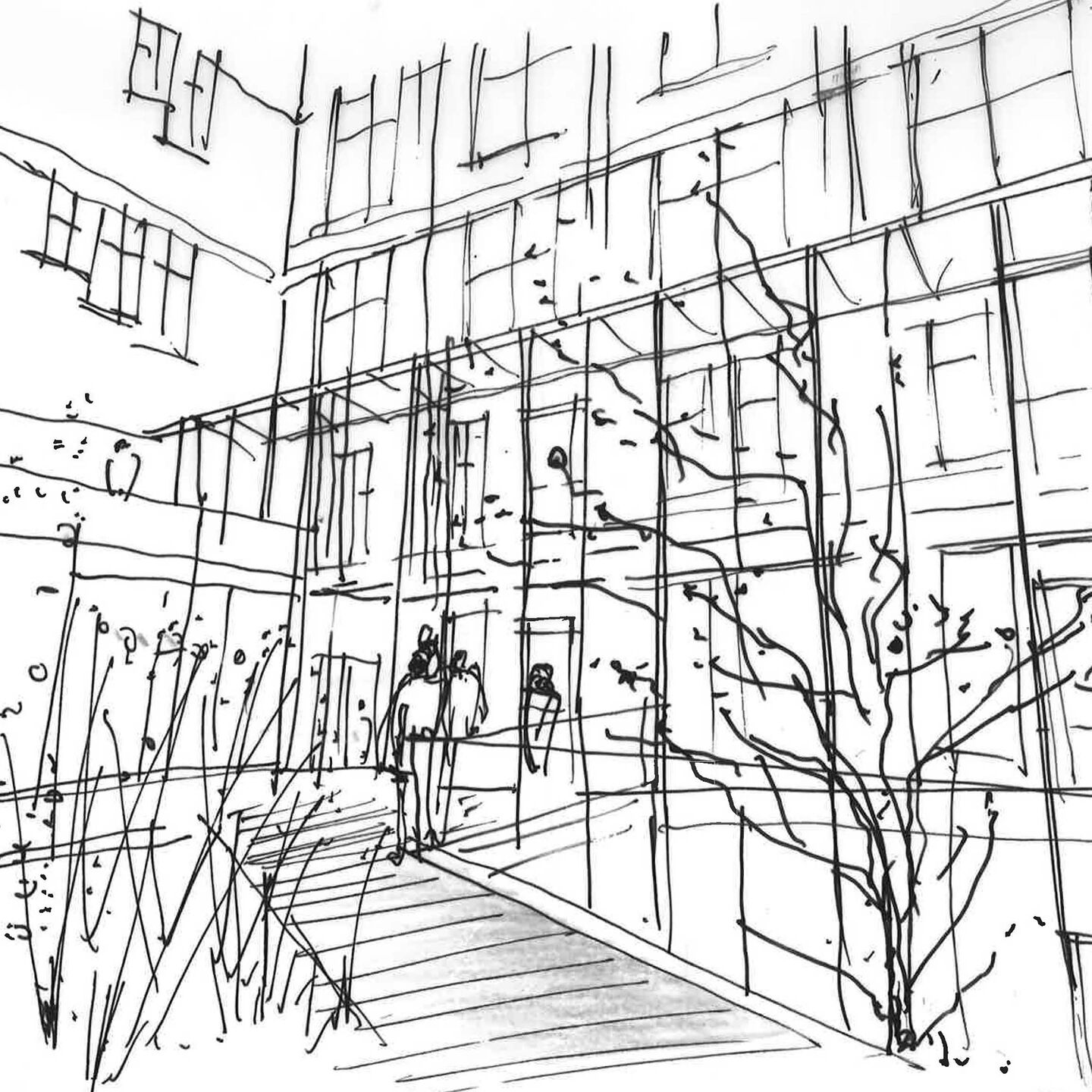 Croquis du jardin