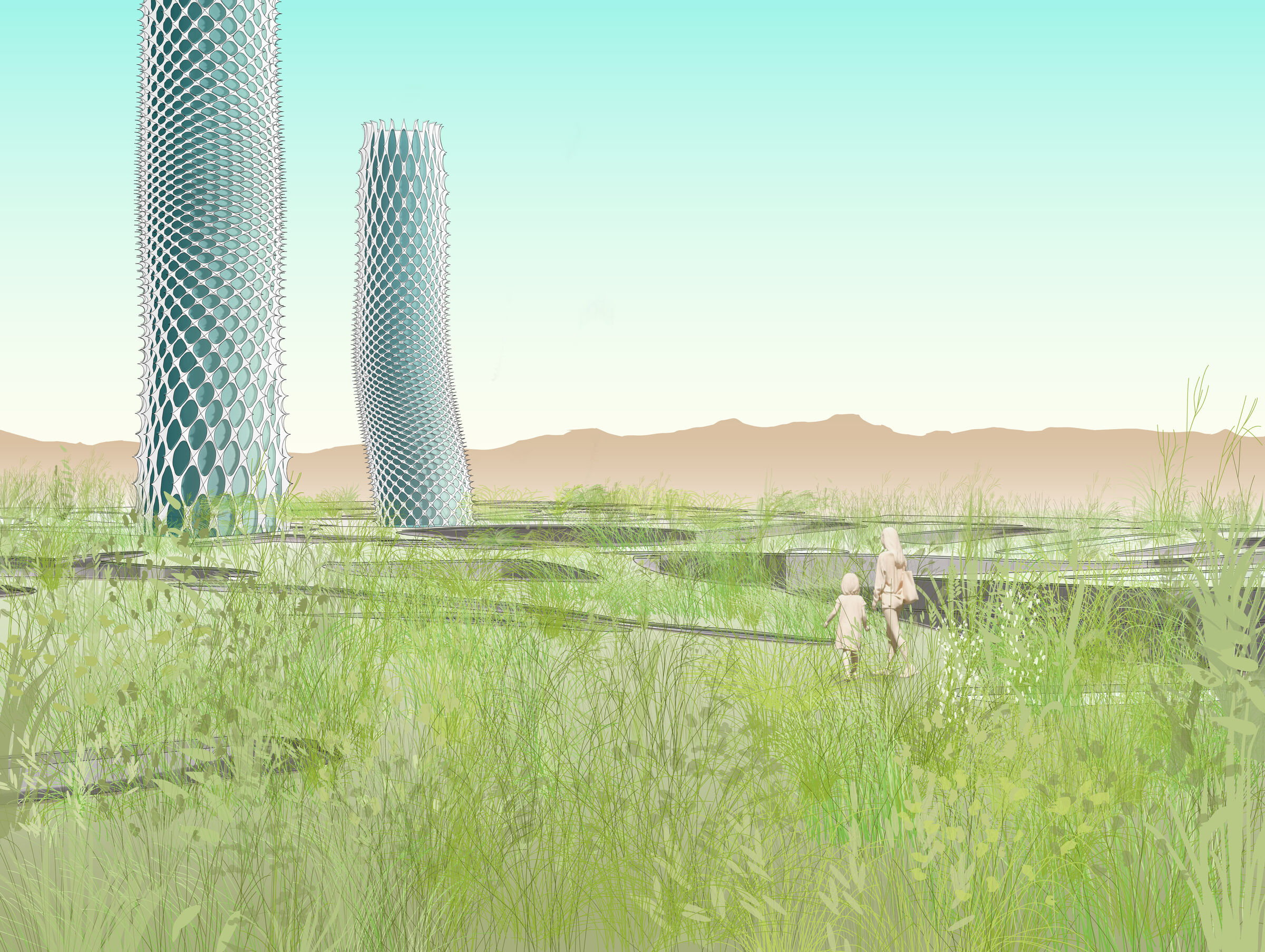 IN THE MEADOW, ON THE ROOF
