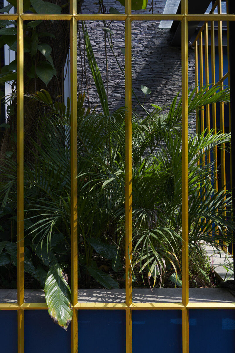 Cage & Tropical Plant