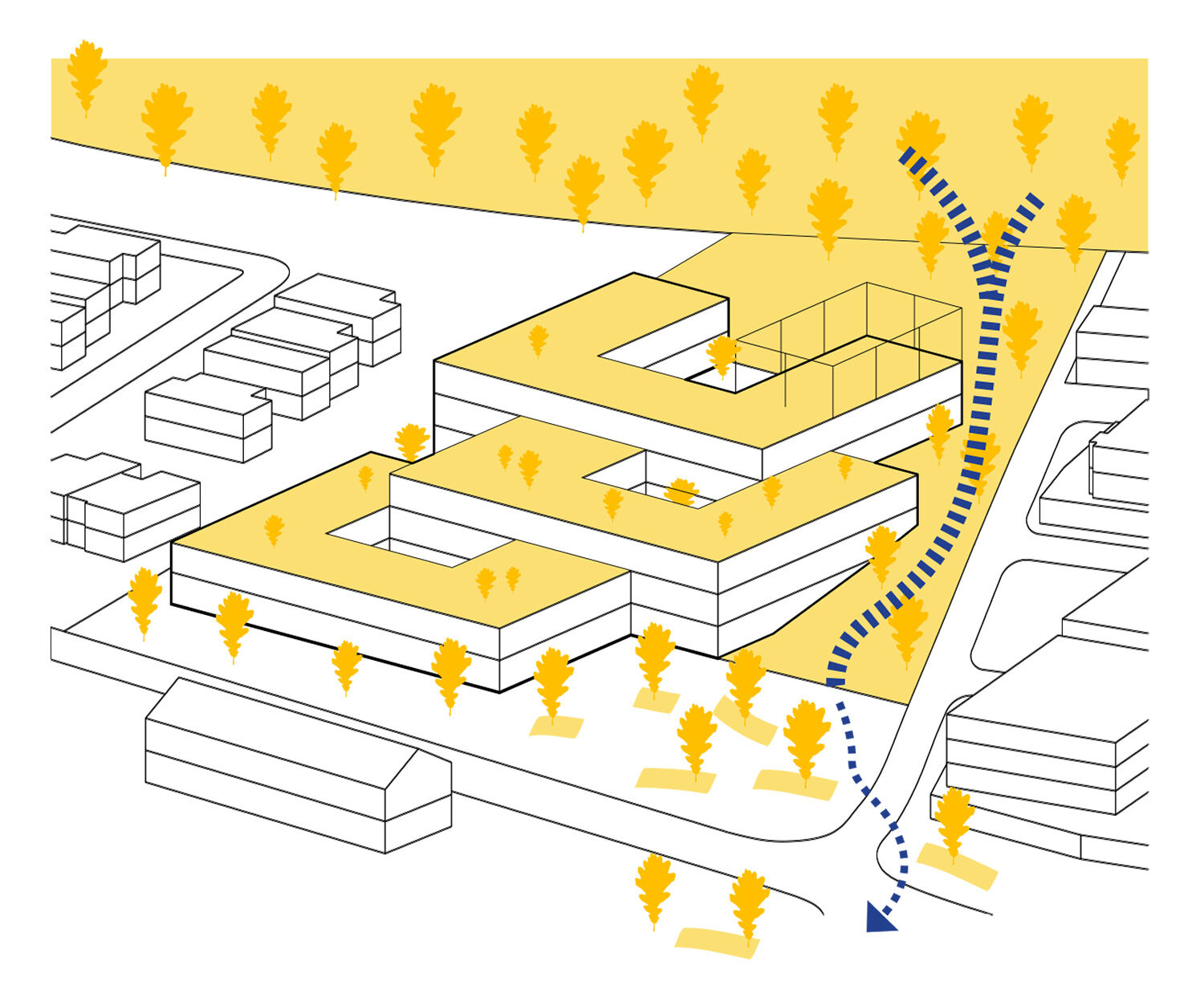 Schema conection between the forest and the plot.