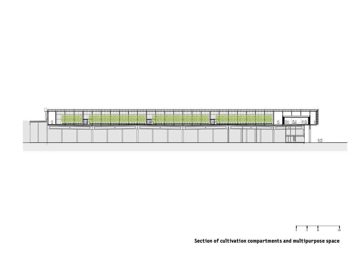 Section of cultivation compartments and multipurpose space