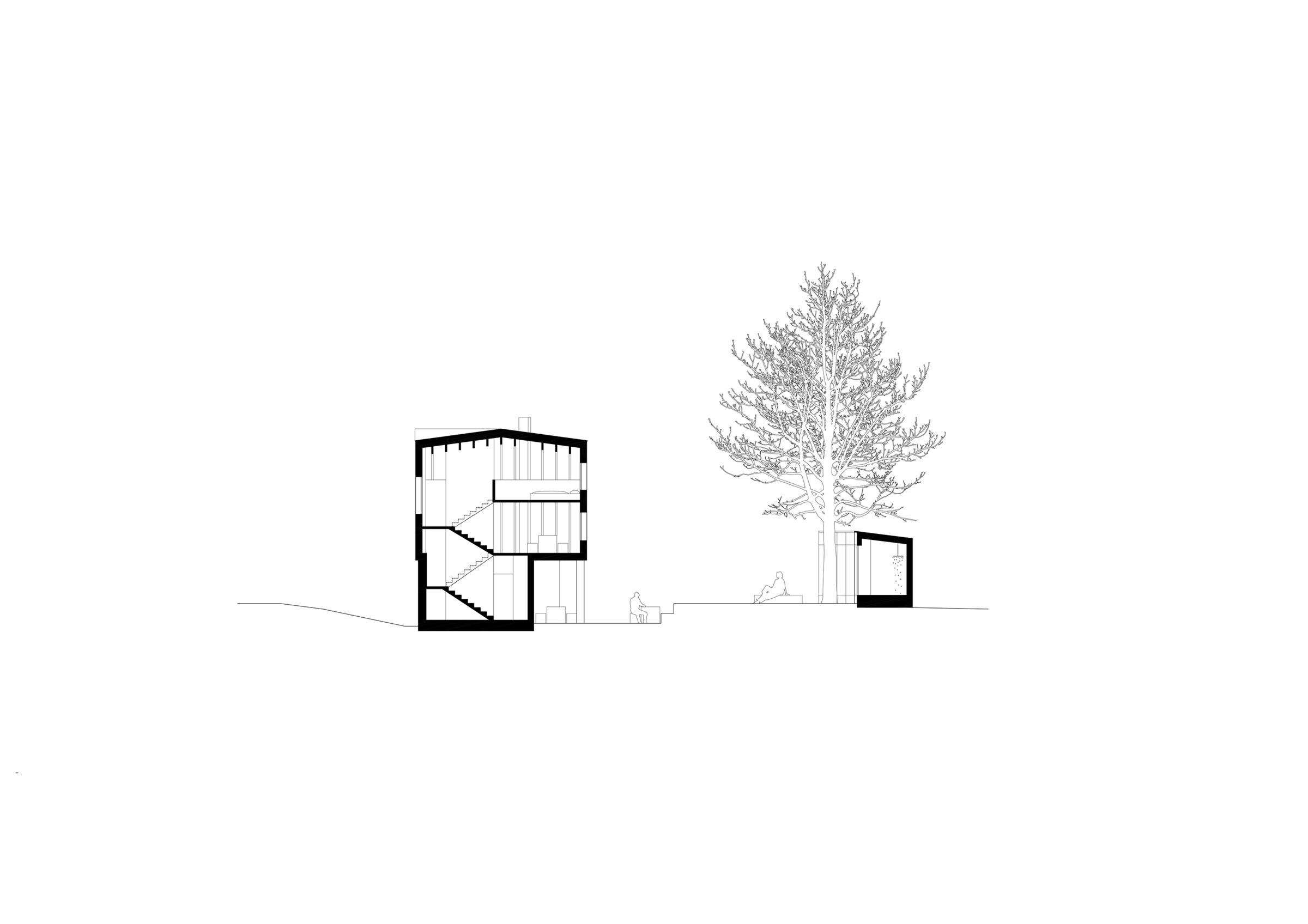 section