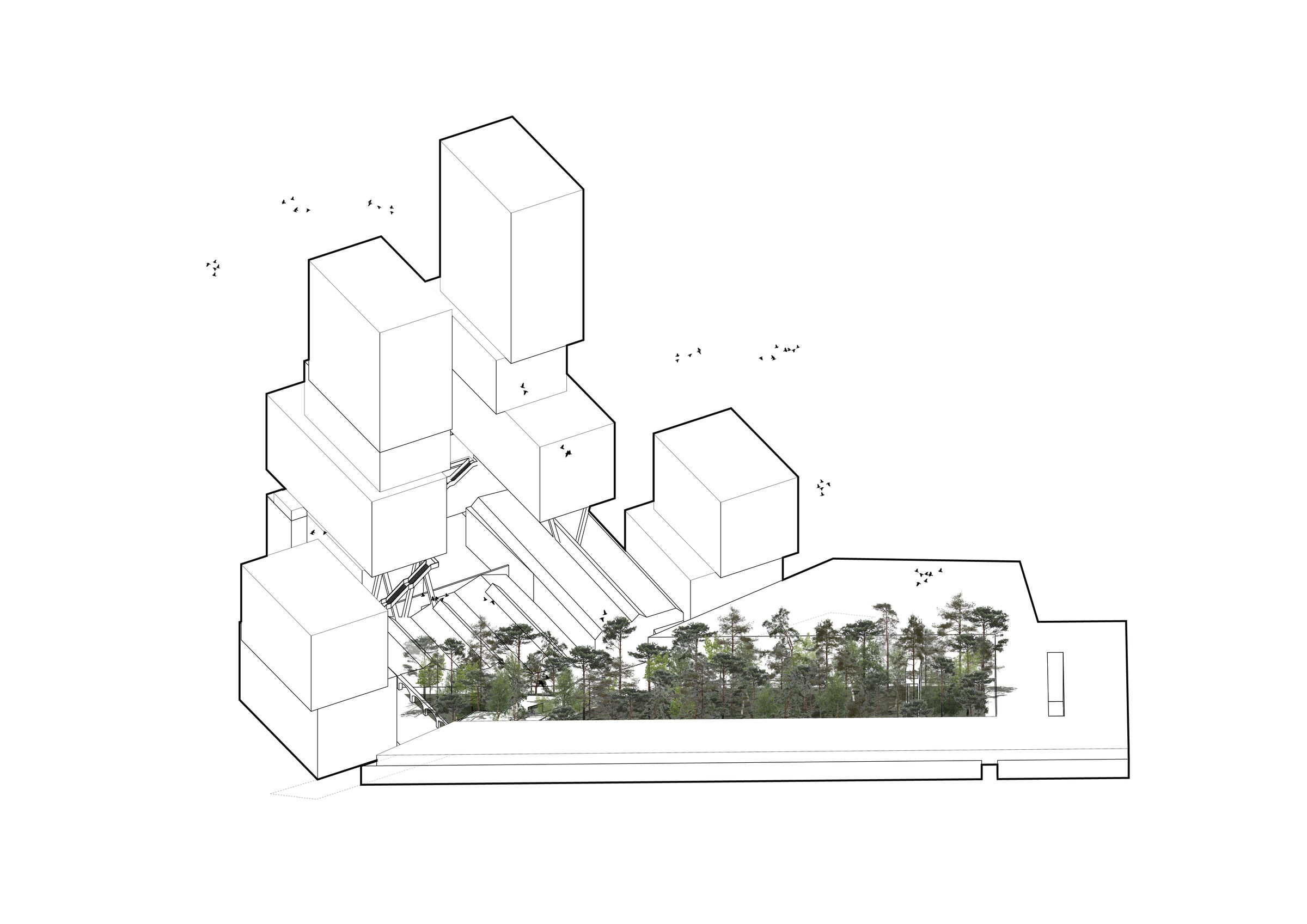 Urban forest