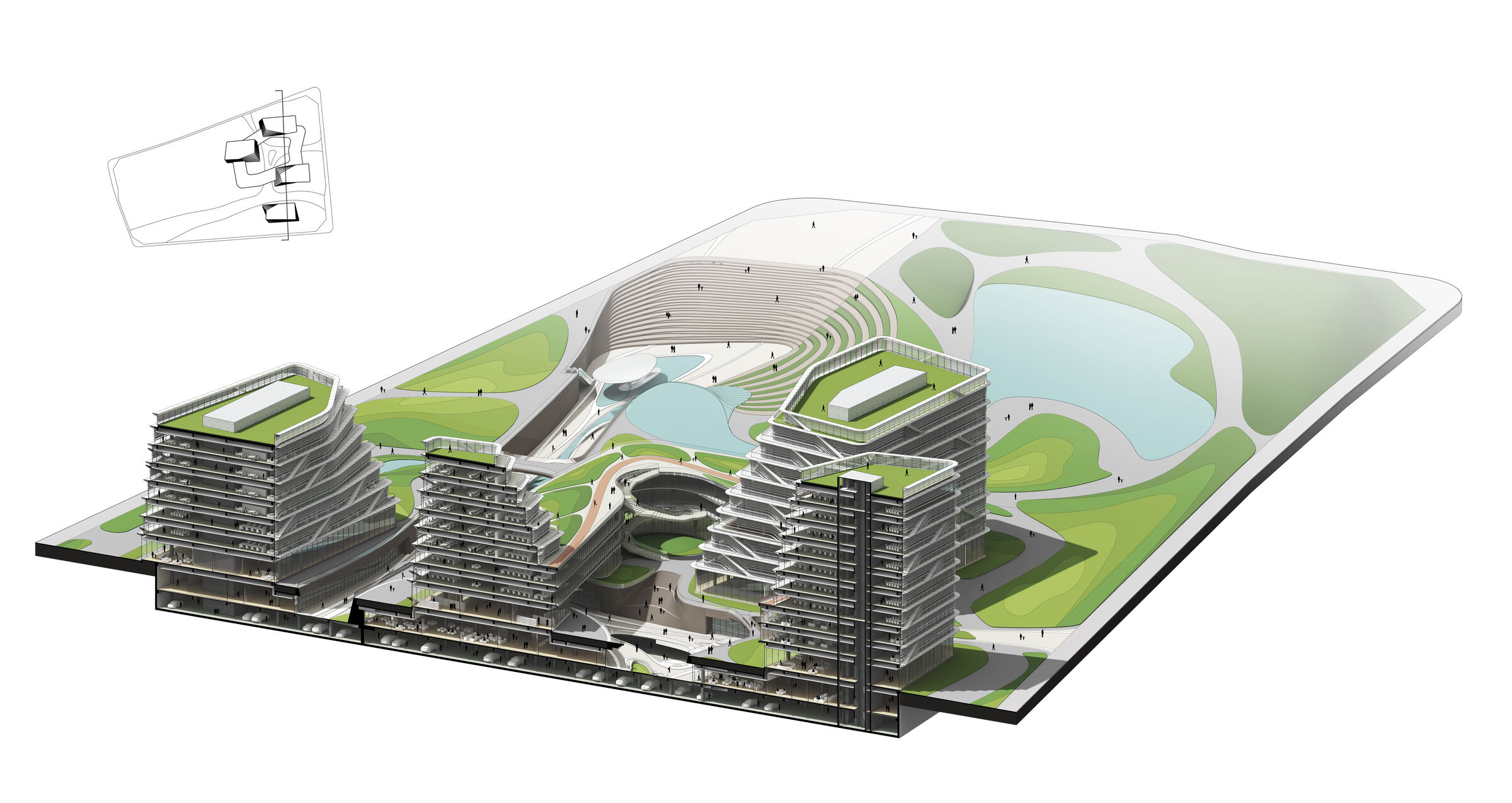 North Perspective Section