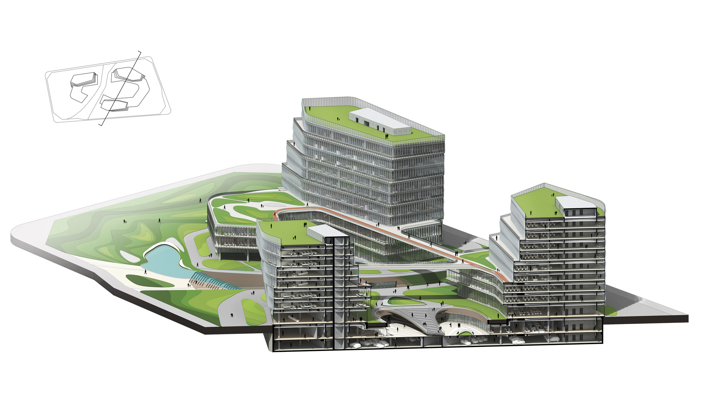 West Perspective Section
