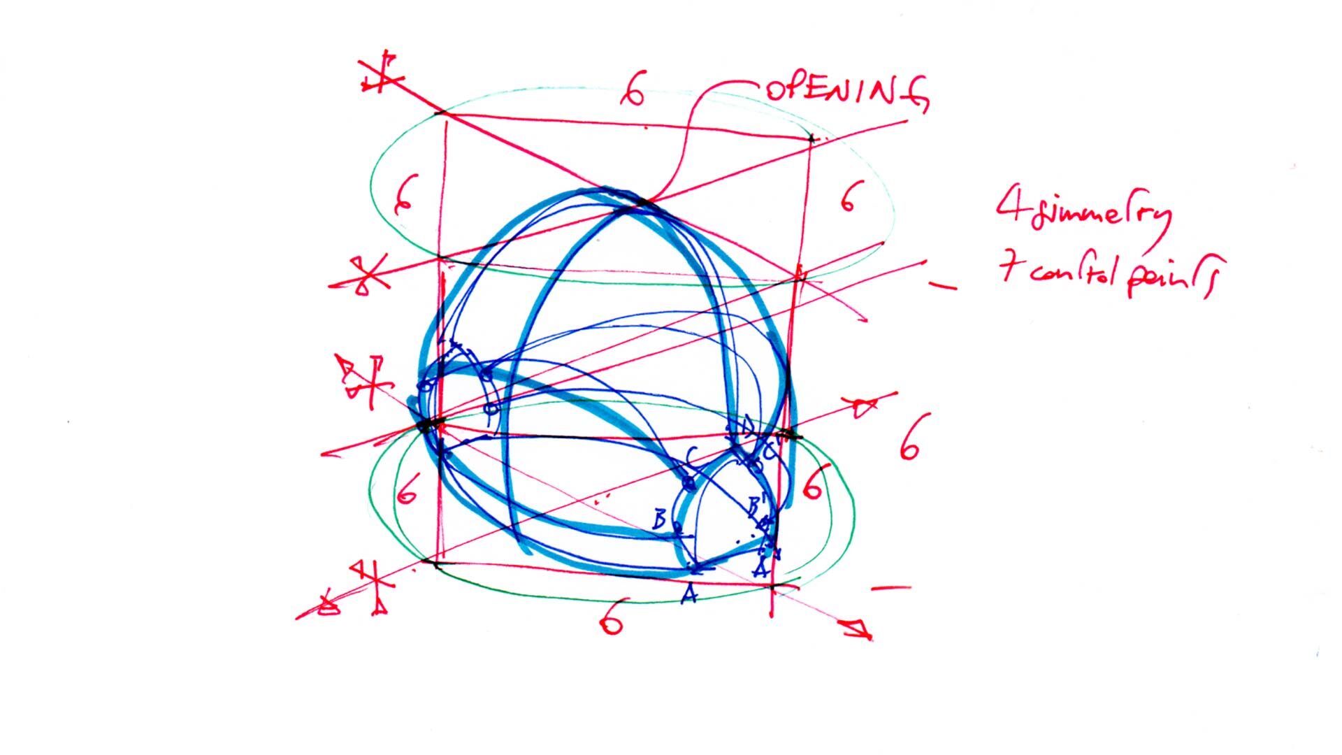 Echinoidea_GG-loop_sketch