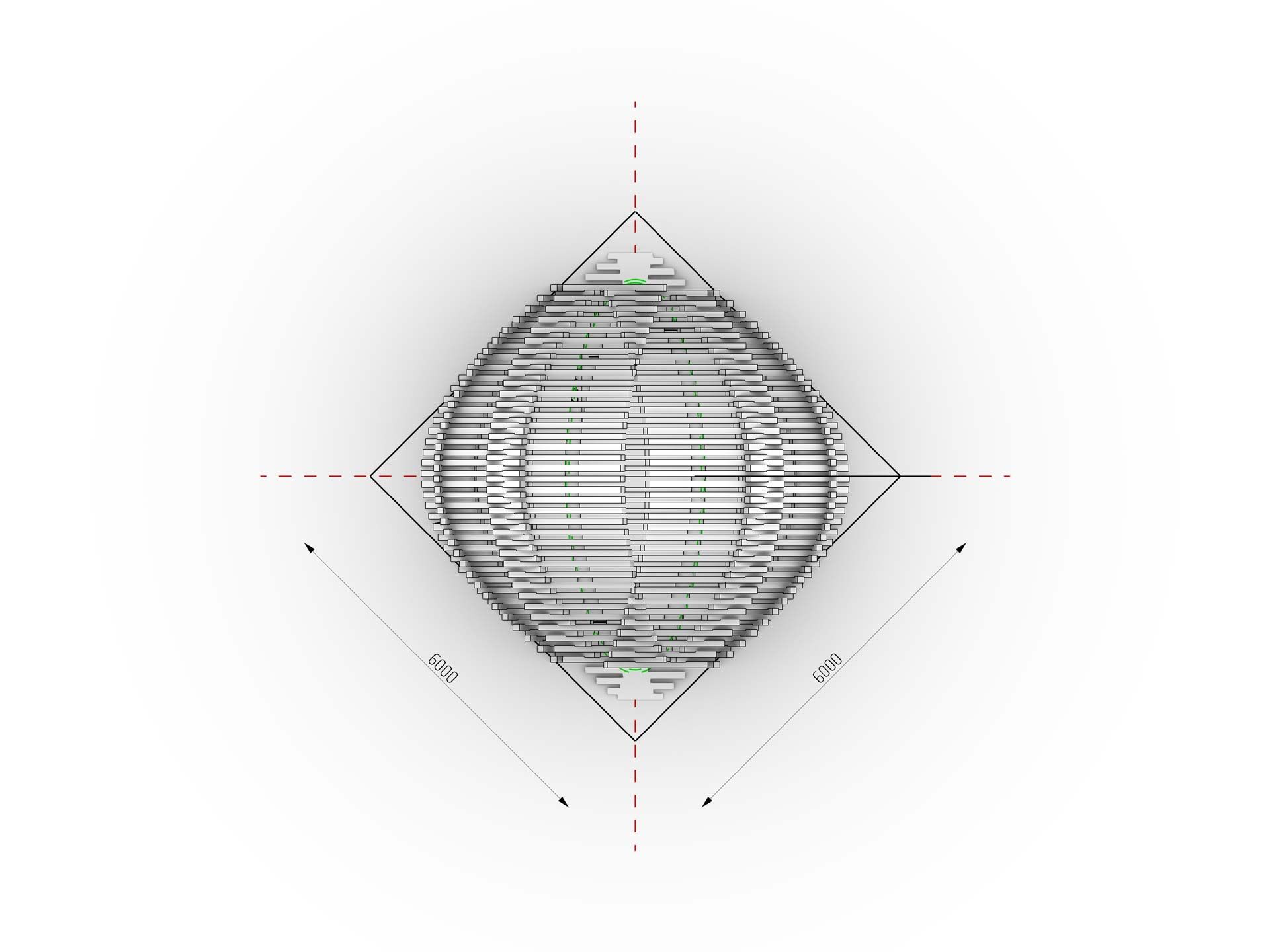 Echinoidea_GG-loop_top-view