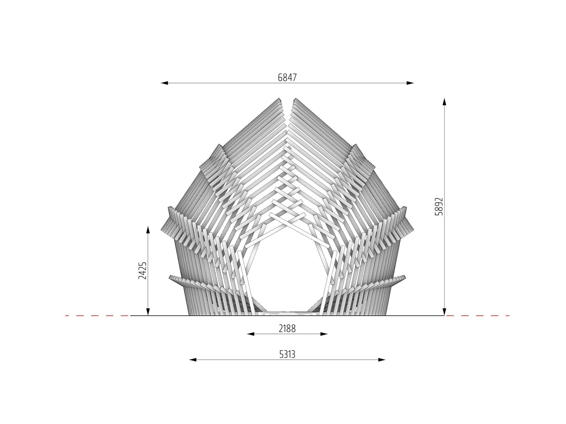 Echinoidea_GG-loop_front-view