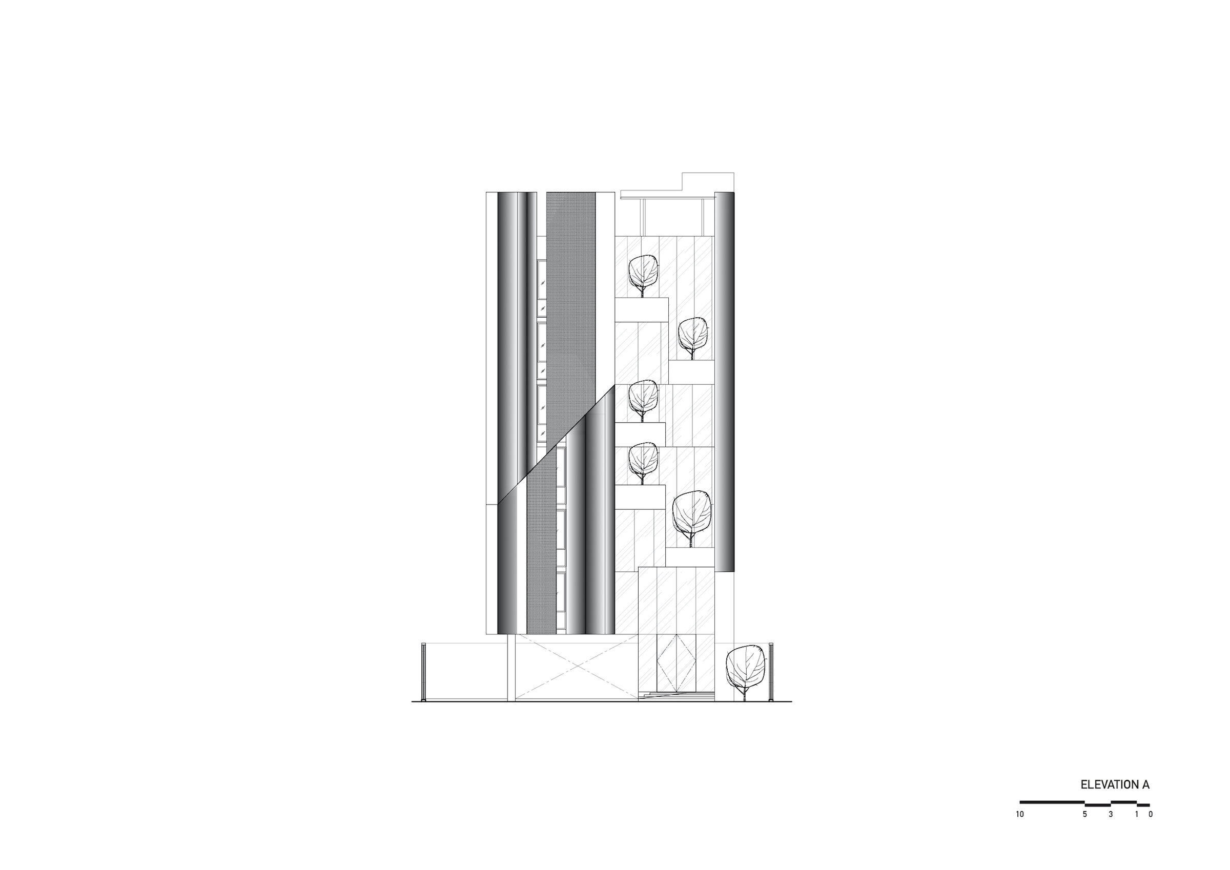 Elevation