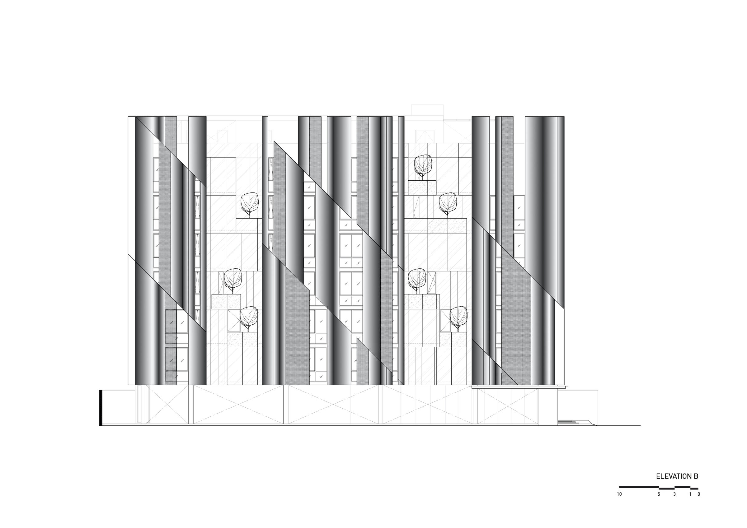Elevation