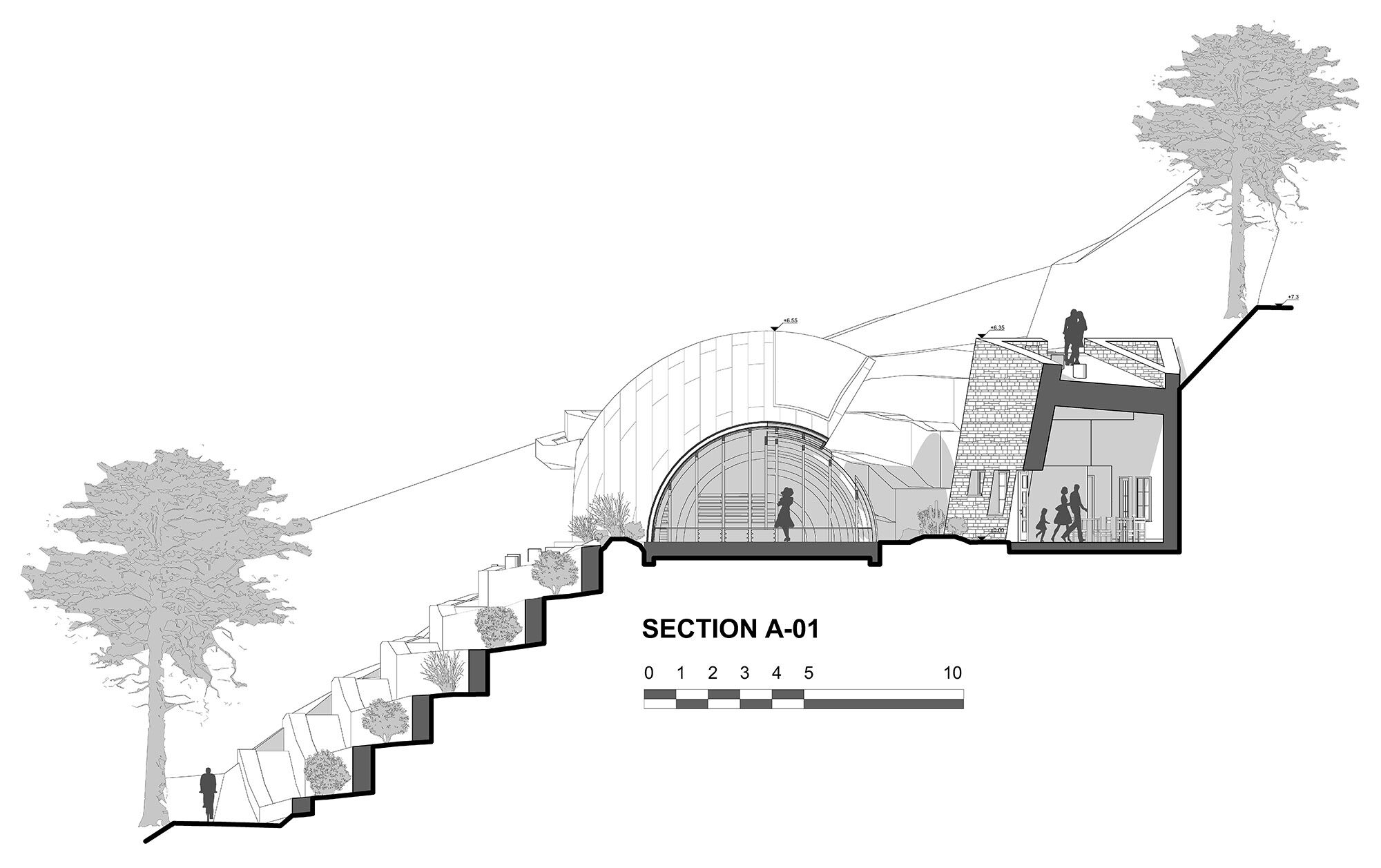 Section A01