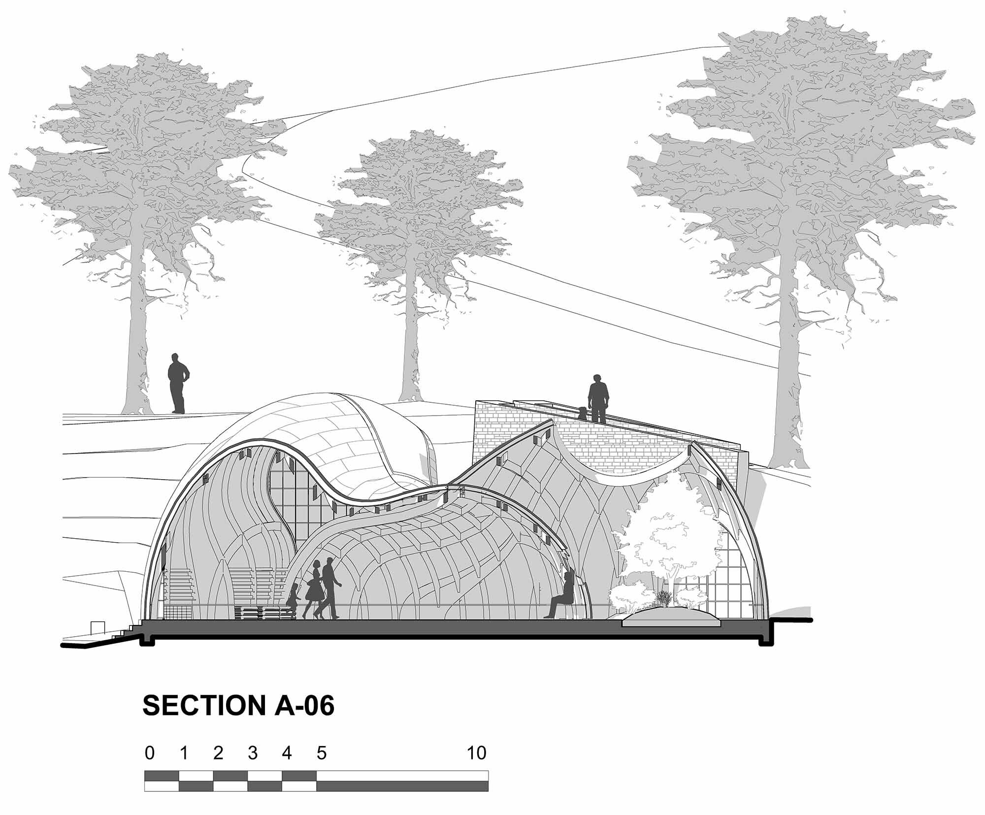 Section A06