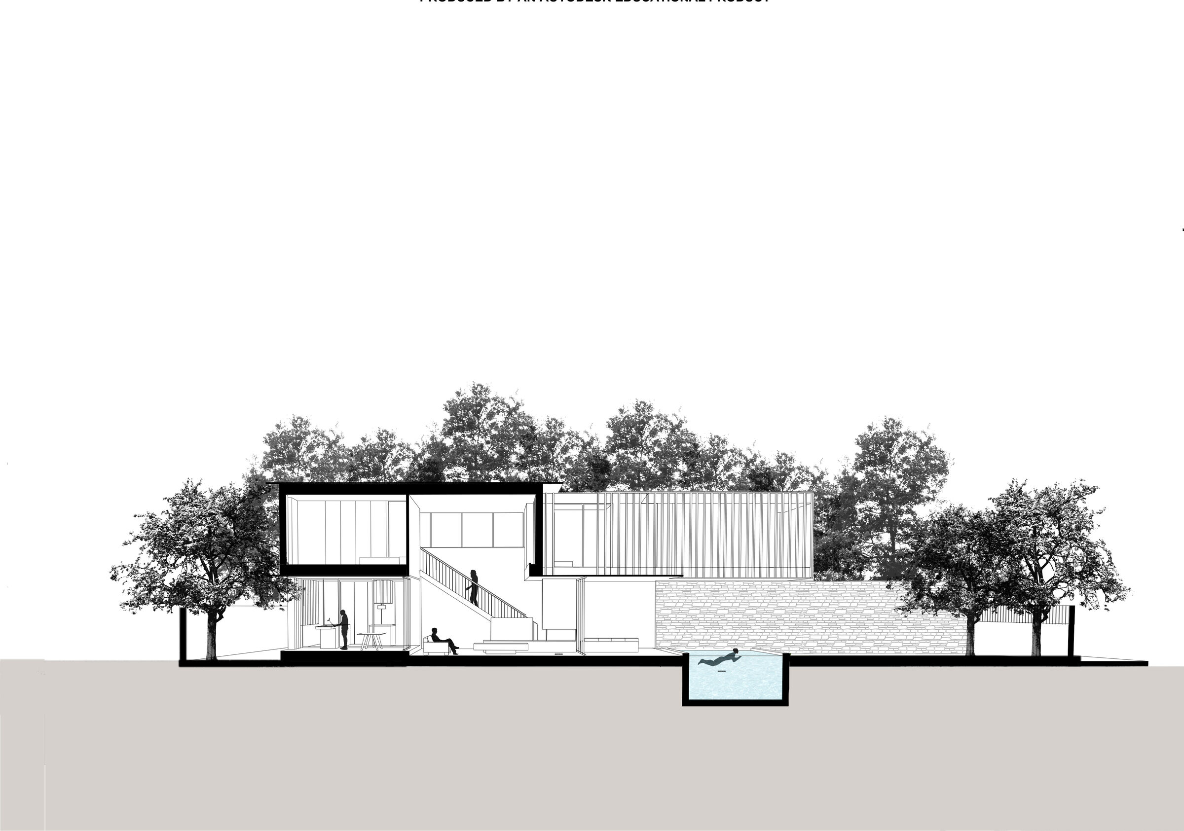 Perspective Section