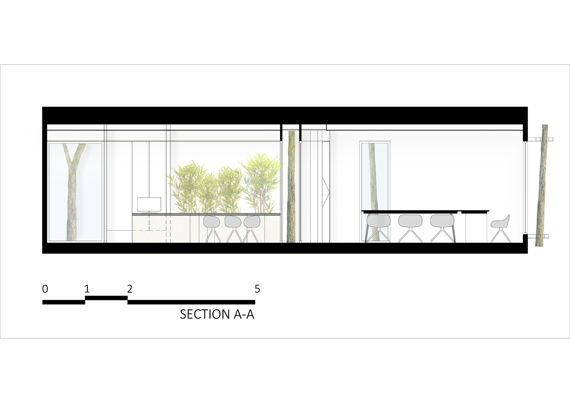 section