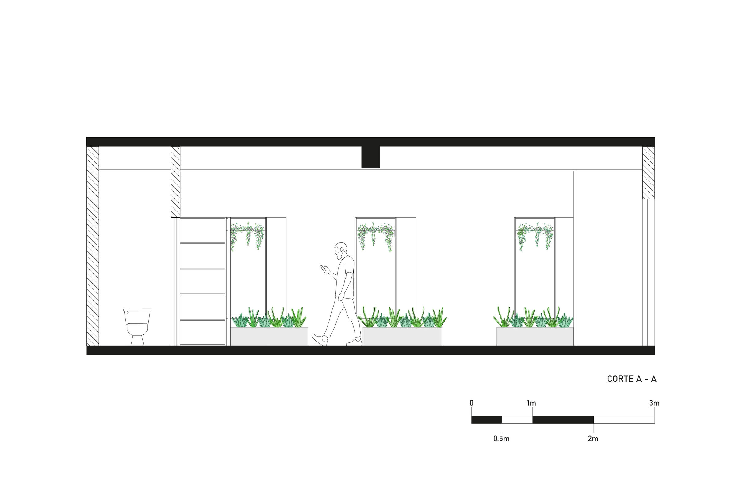 SECTION