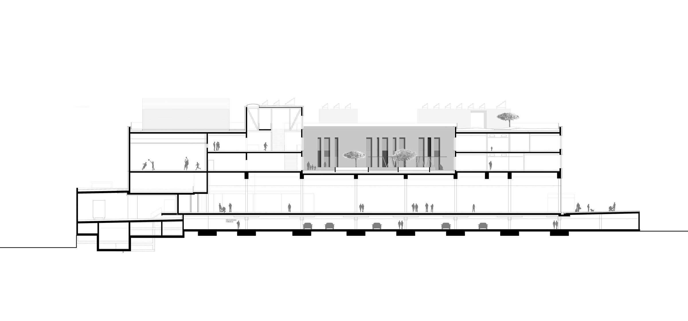 section