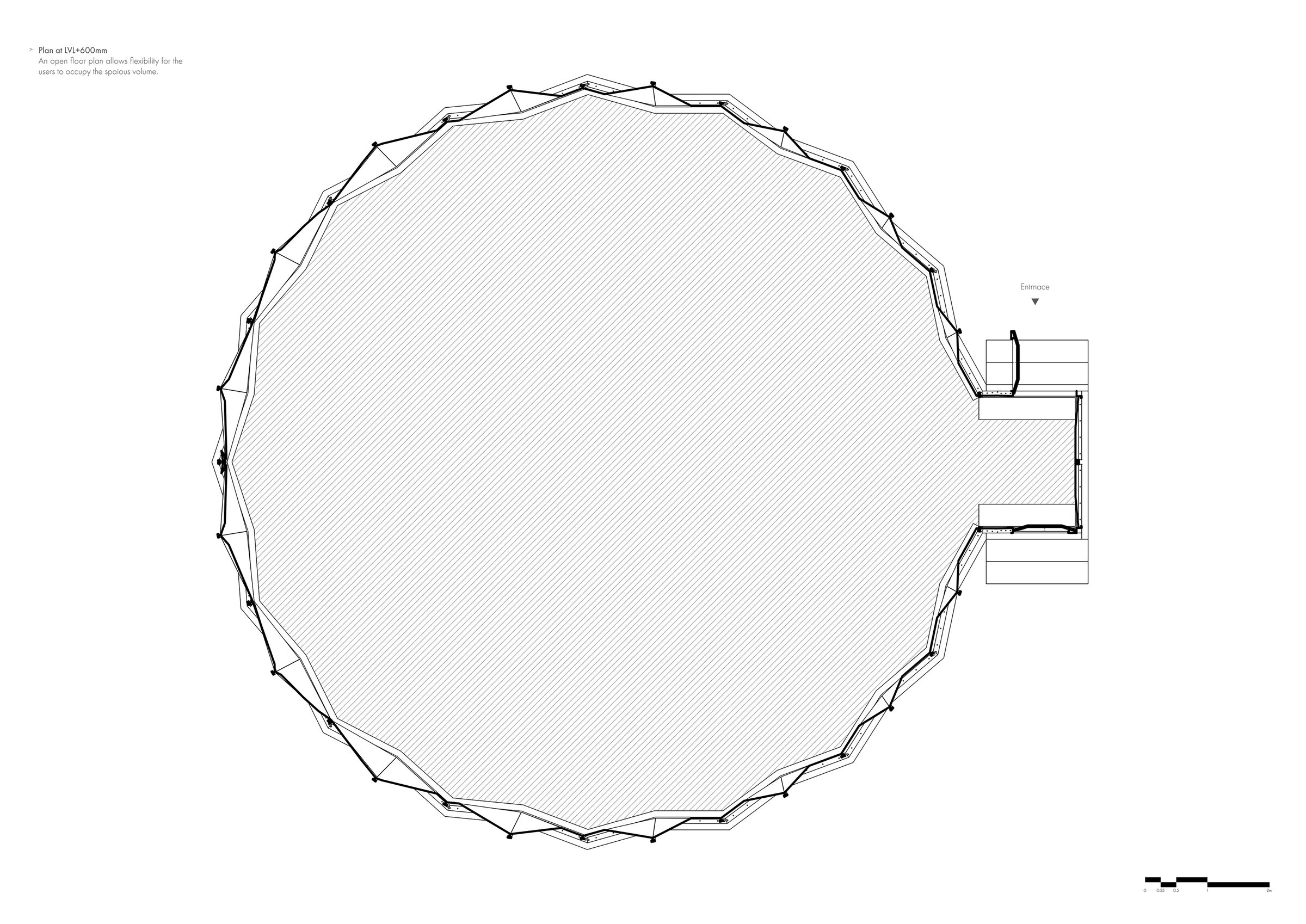 Plant at LVL +600mm