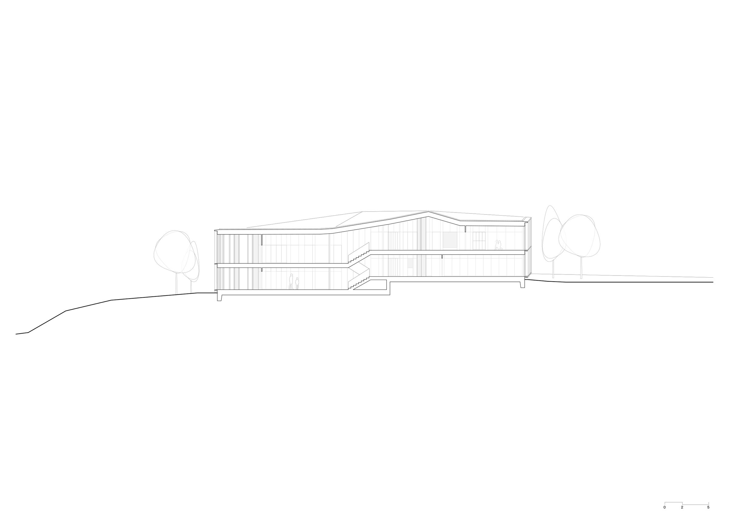 Longitudinal section