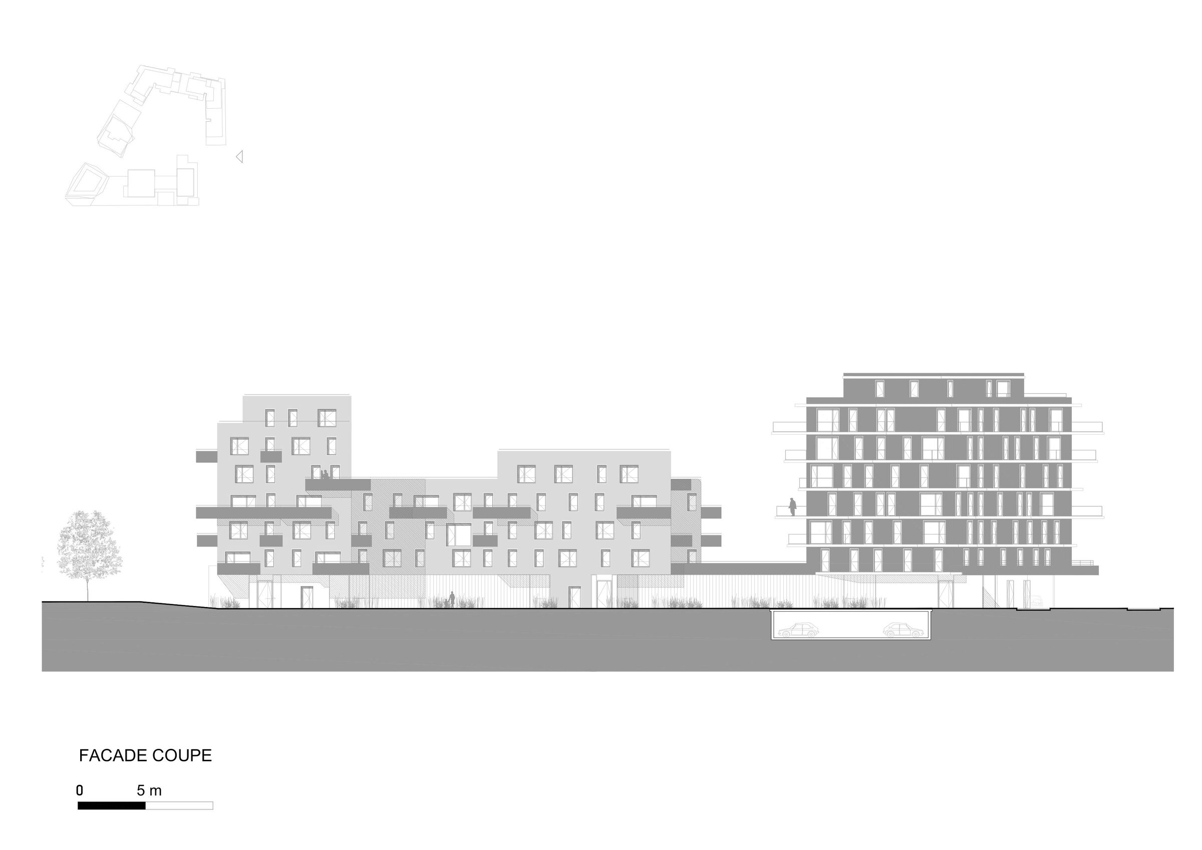 Elevation