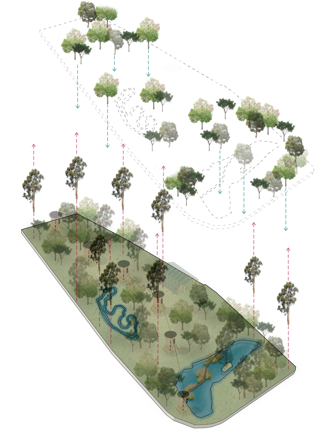 Arborization