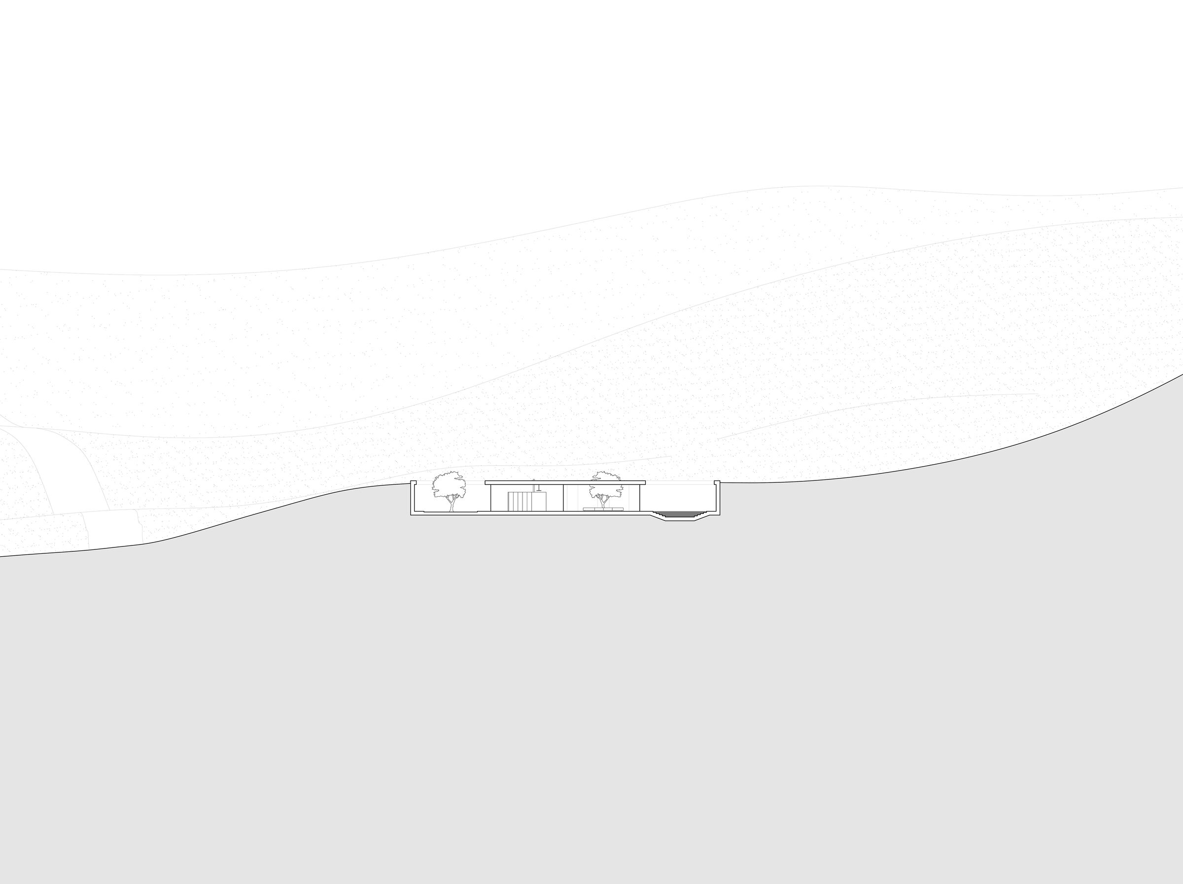 Section