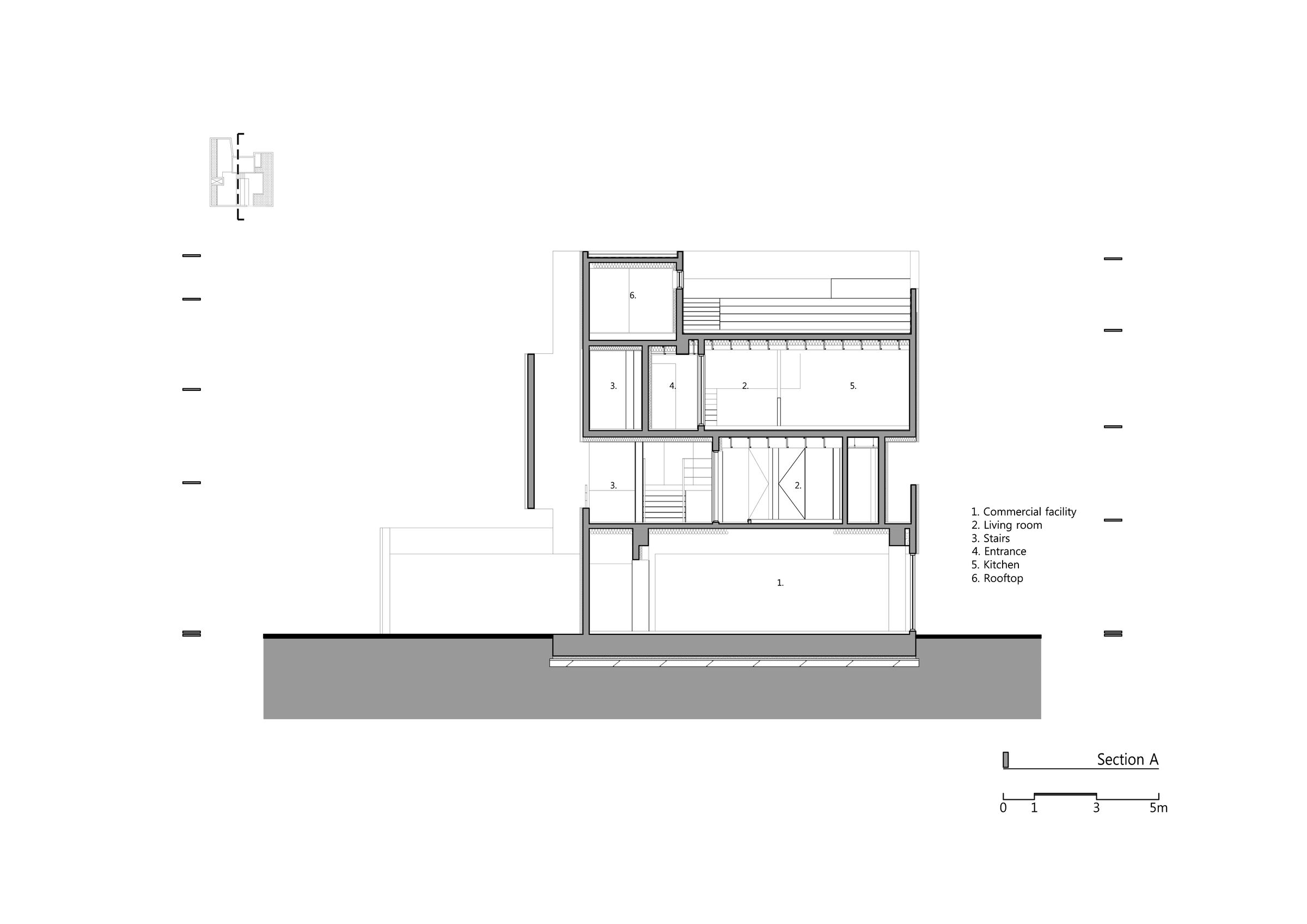 Longitudinal Section