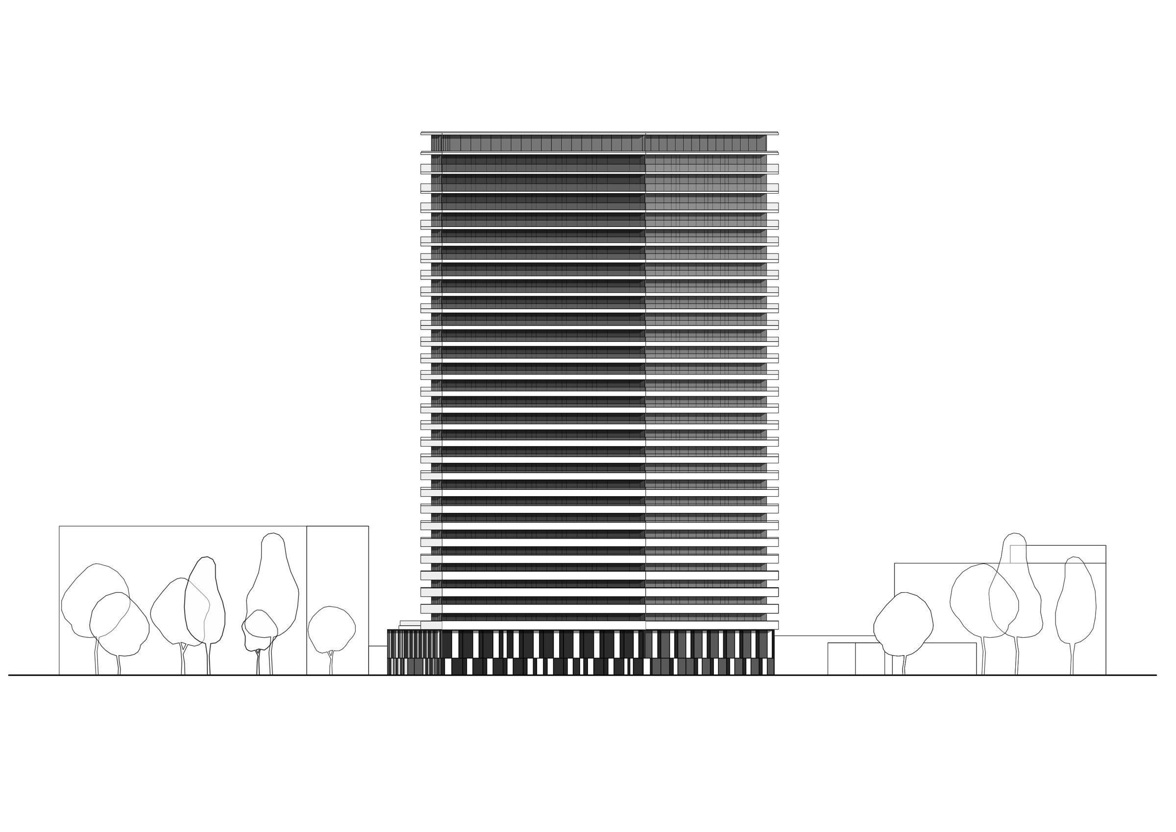 Elevation