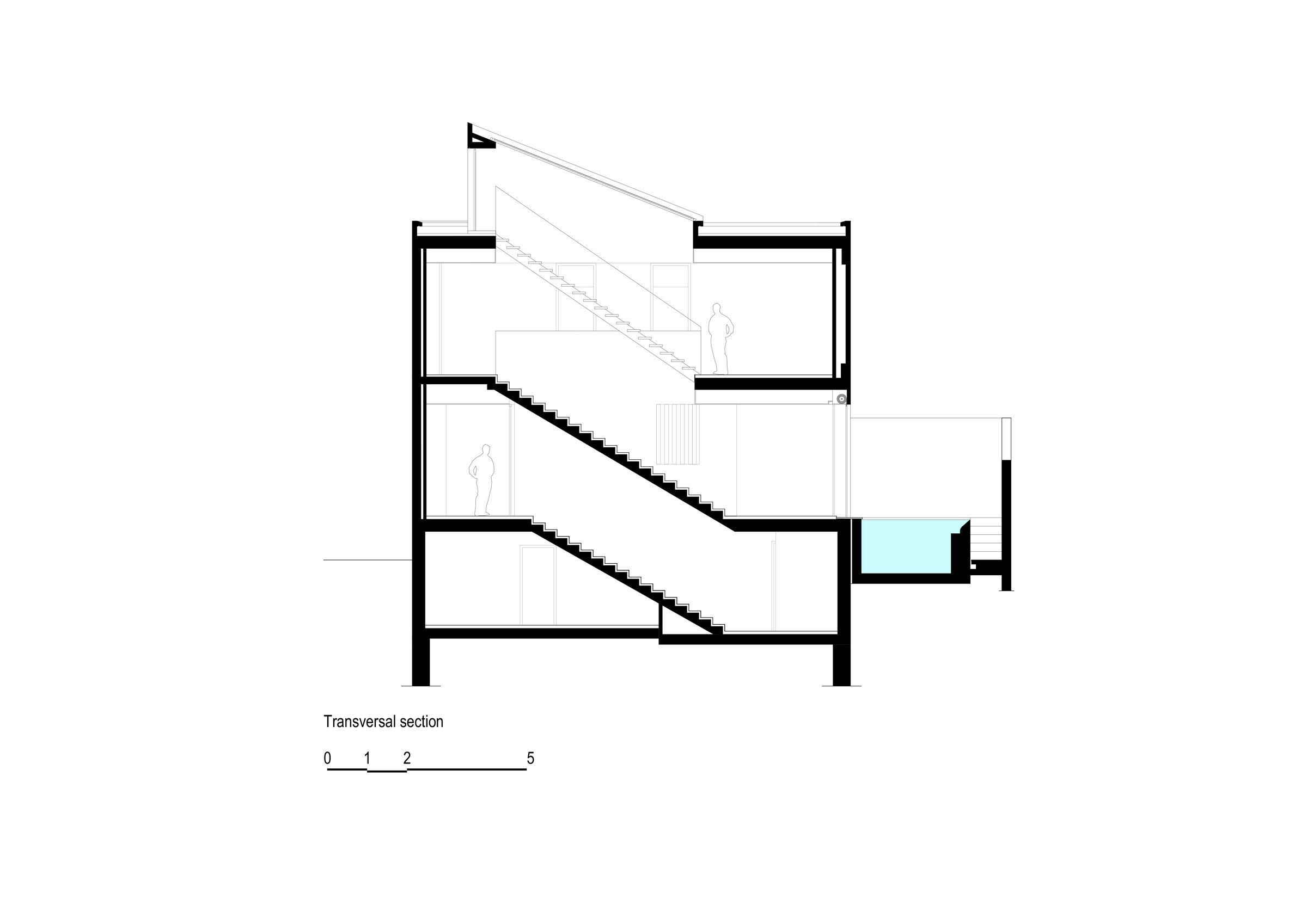 Transversal section