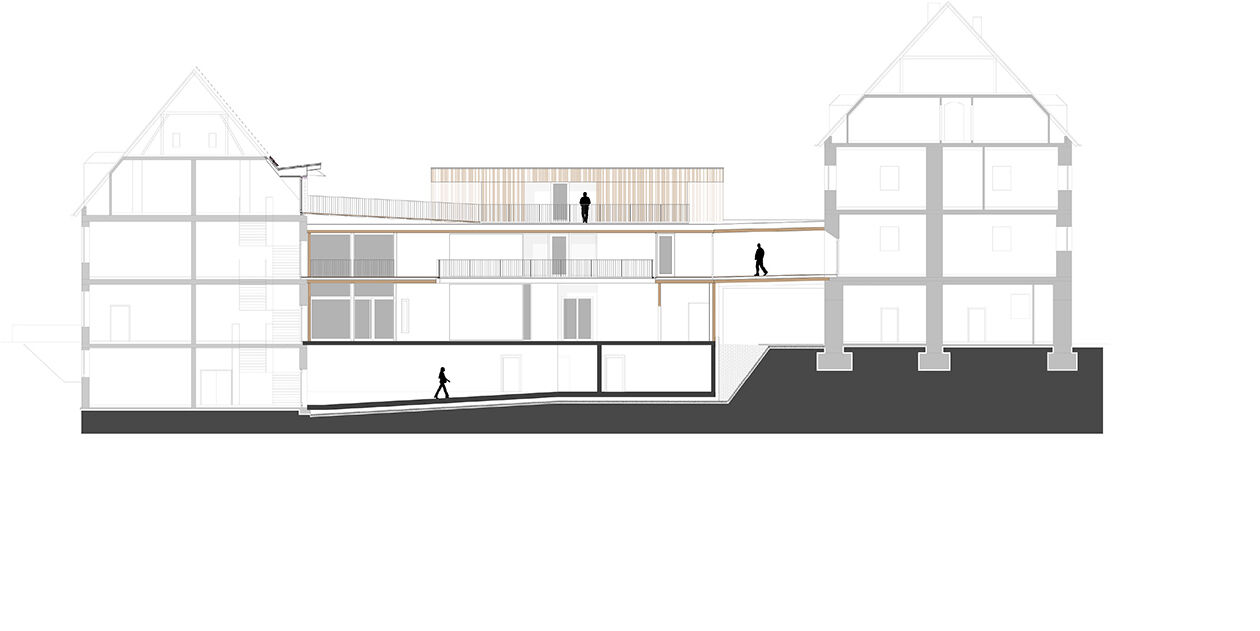 section
