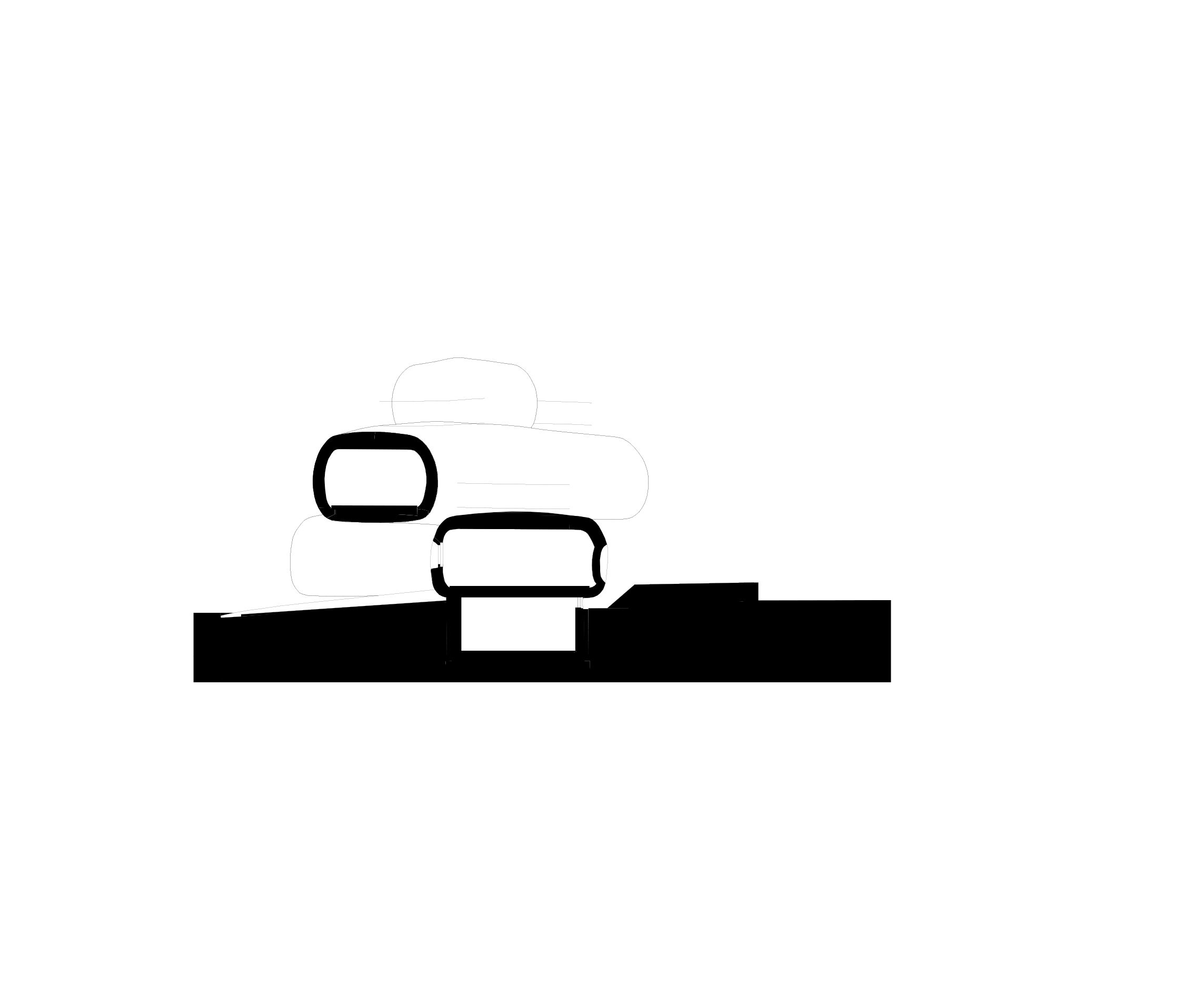 section