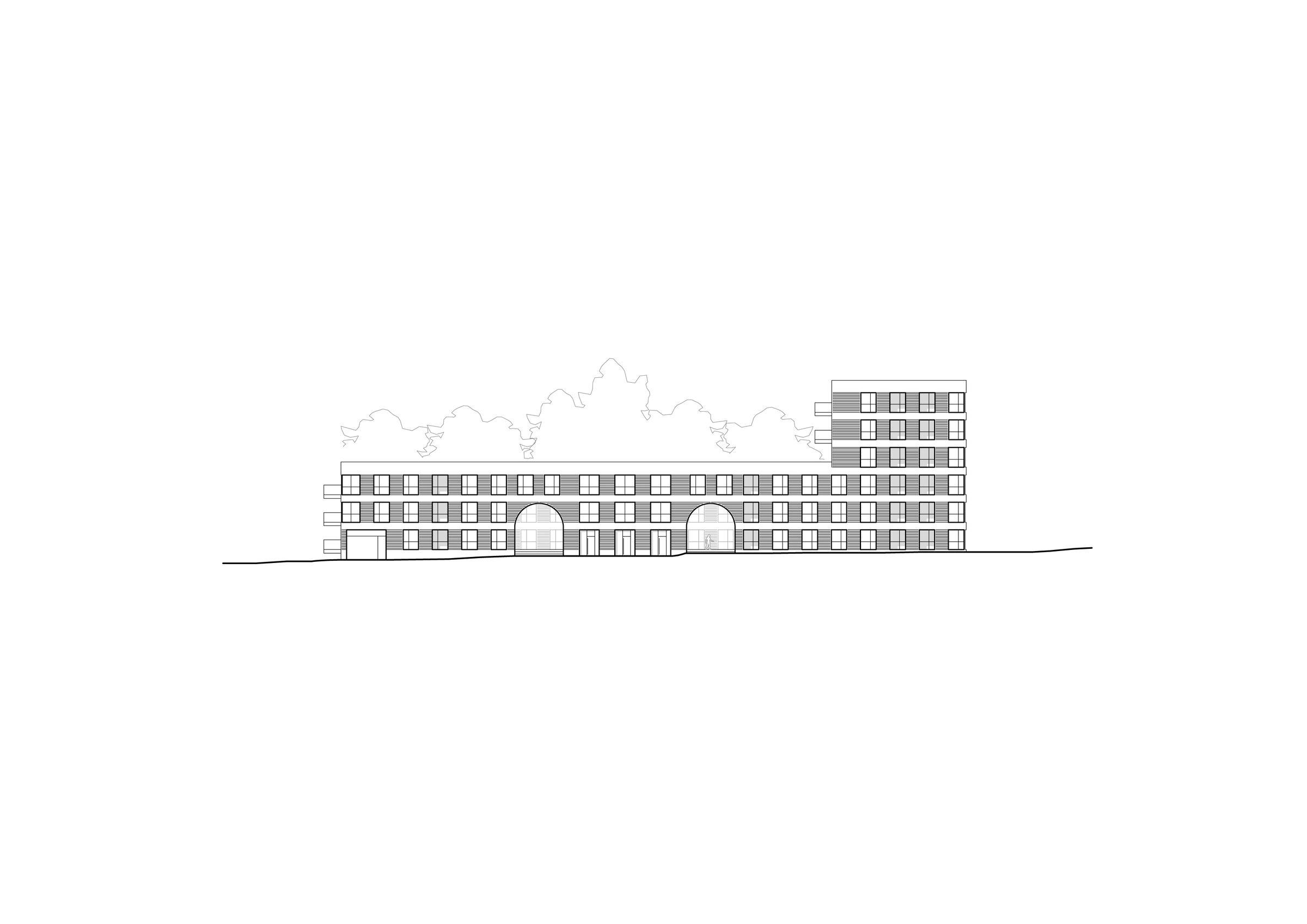 Elevation