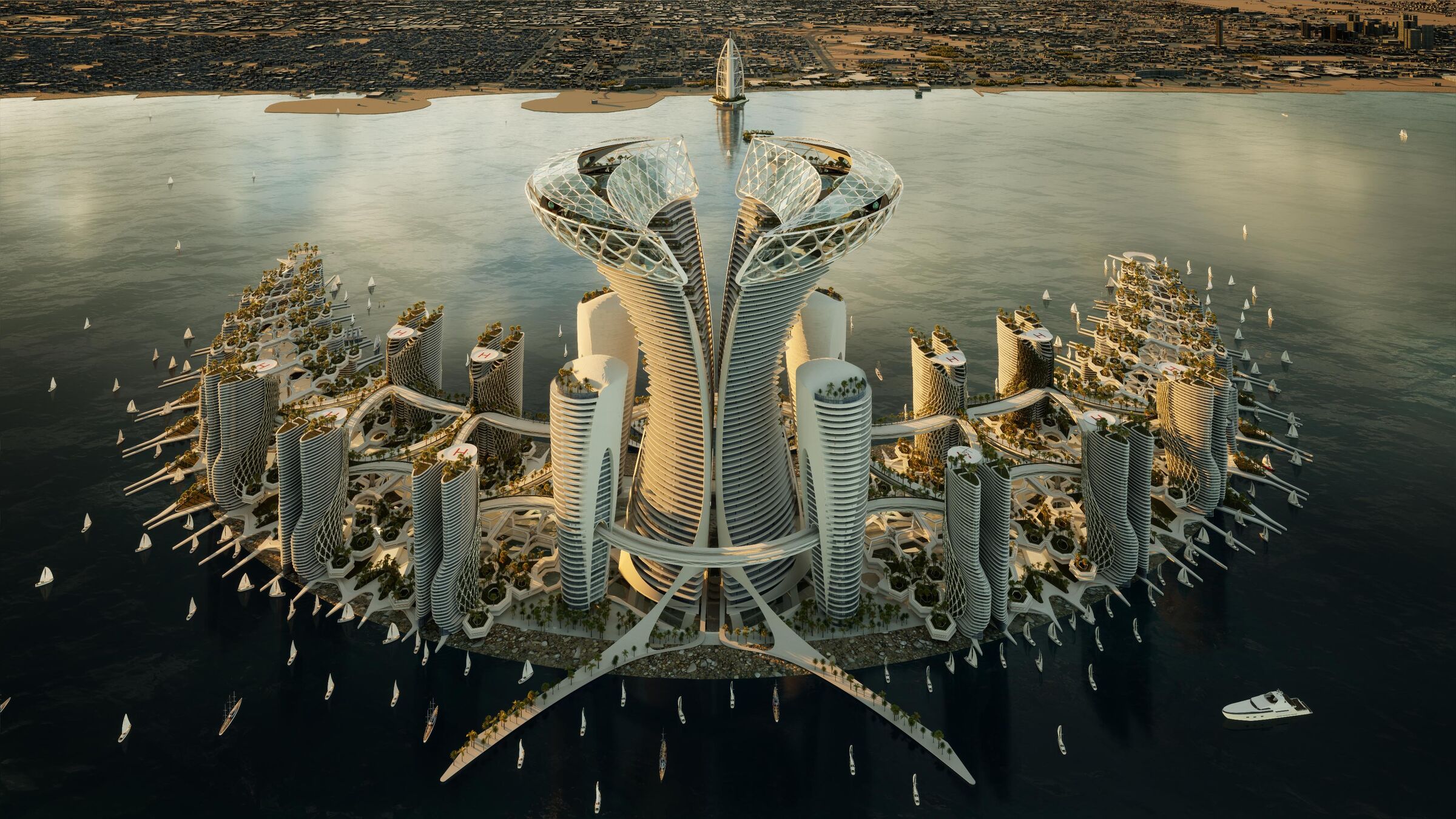 Bird View